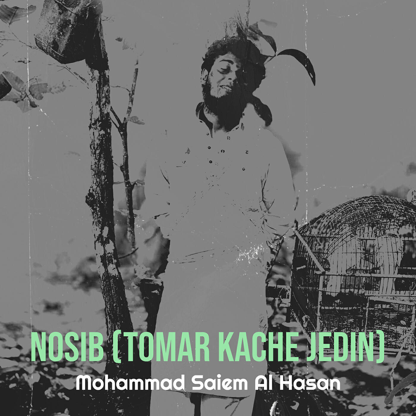 Mohammad Saiem Al Hasan