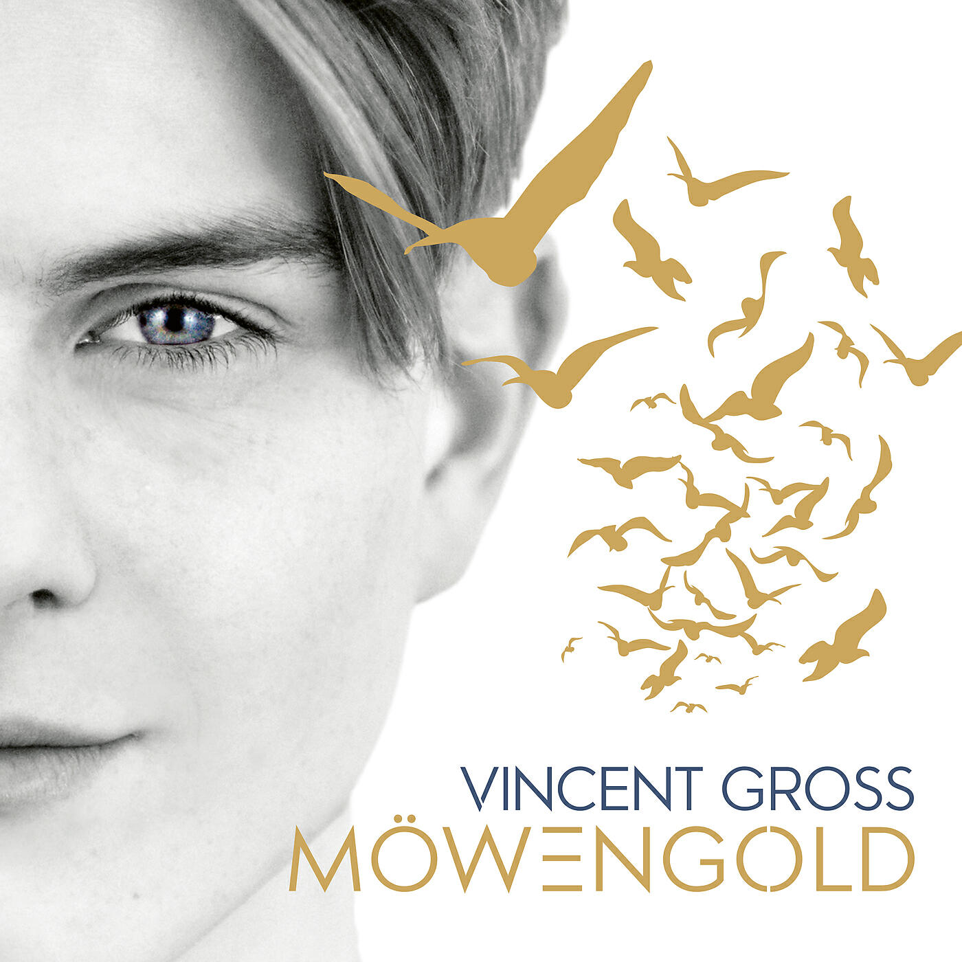 Релиз Möwengold