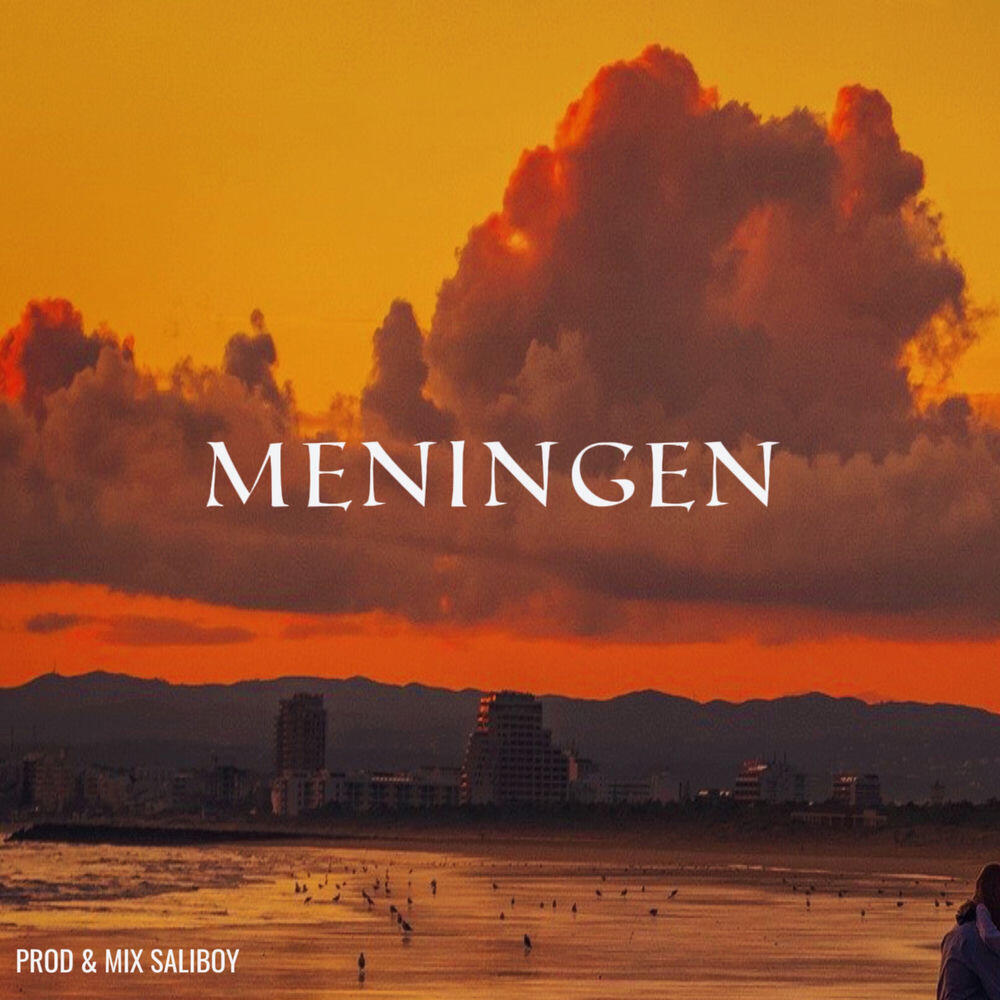 Релиз Meningen