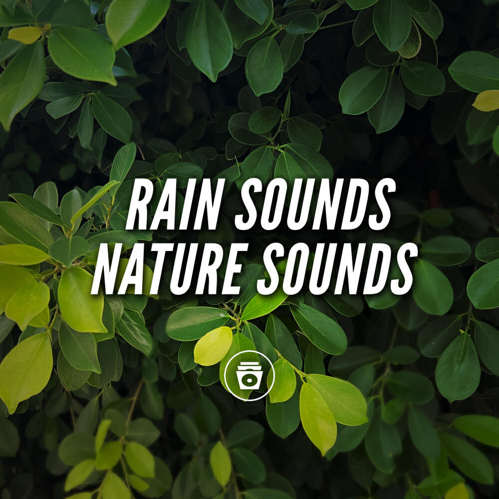 Релиз Rain Sounds Nature Sounds