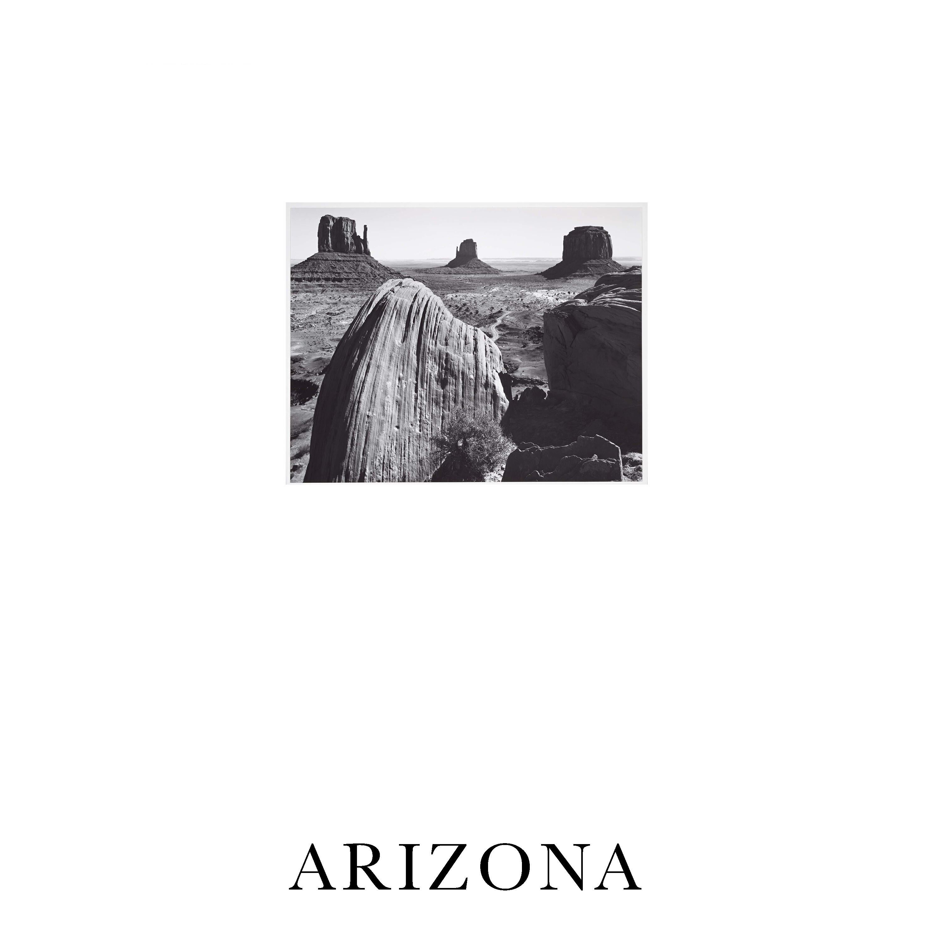 Релиз Arizona