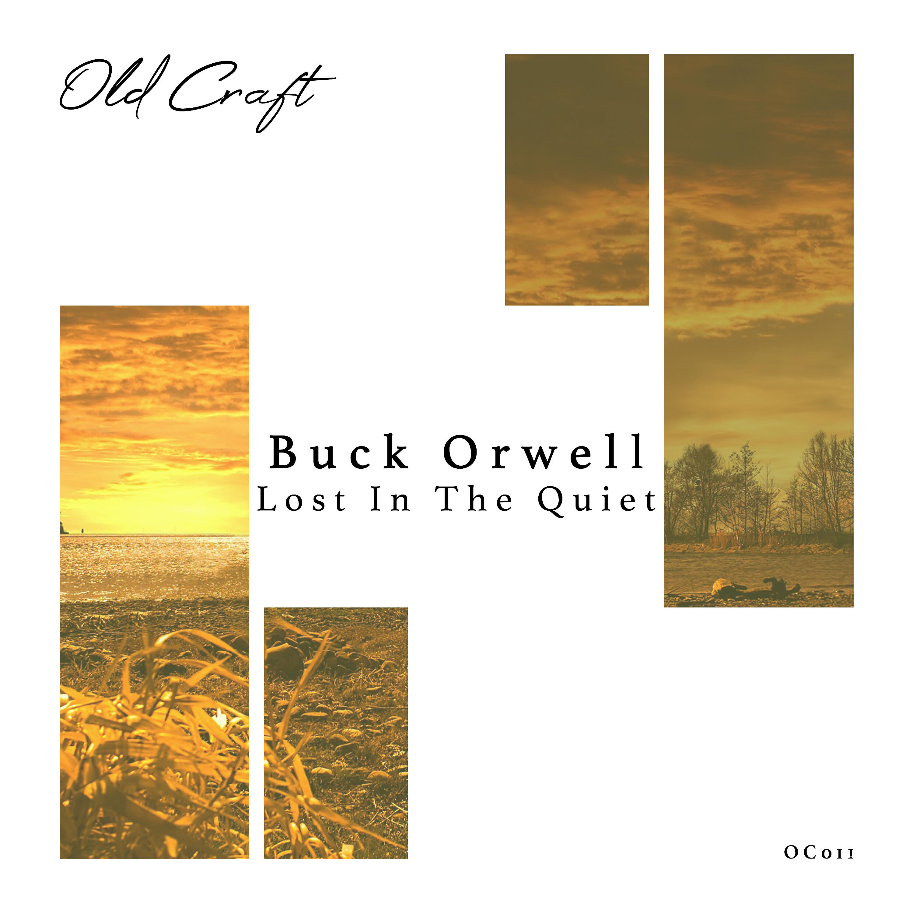 Релиз Lost in the Quiet