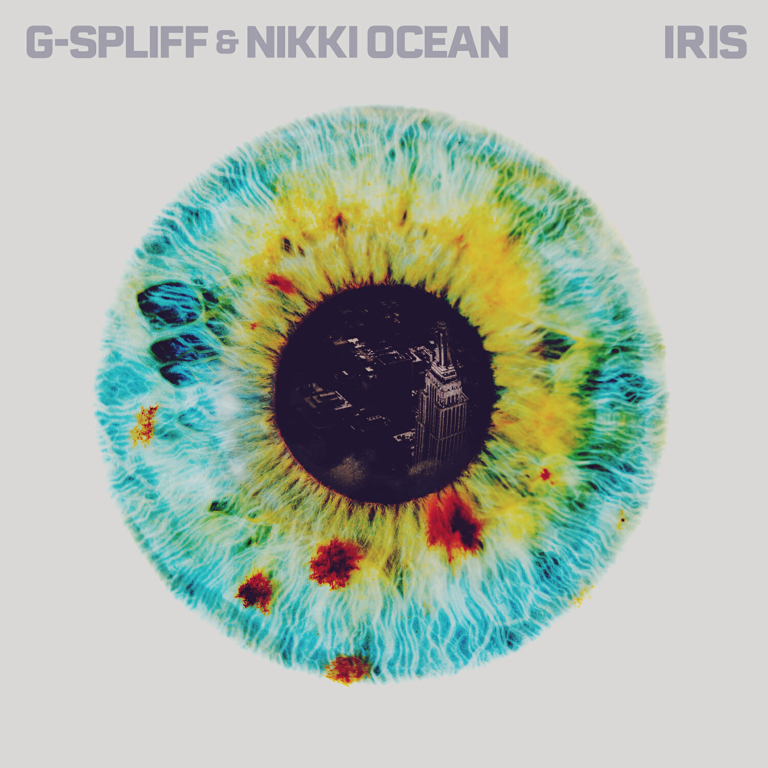 Релиз Iris
