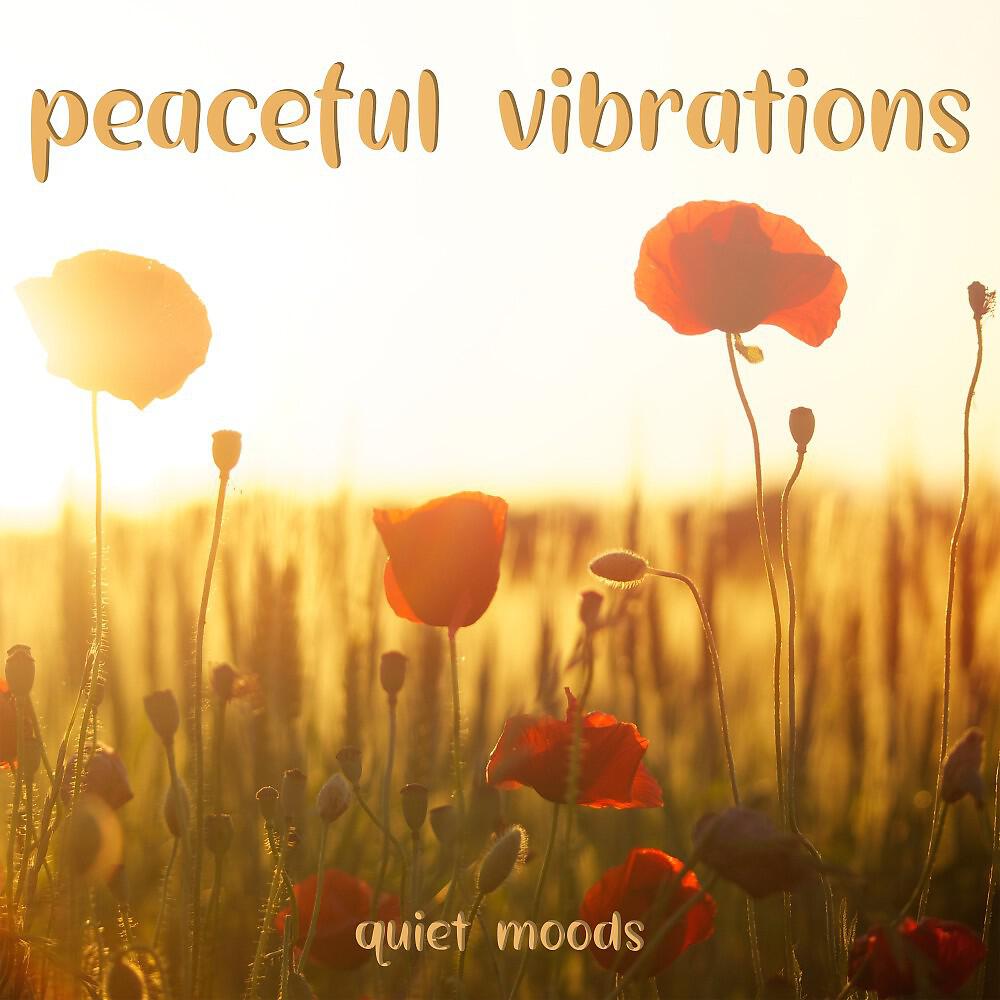 Релиз Peaceful Vibrations