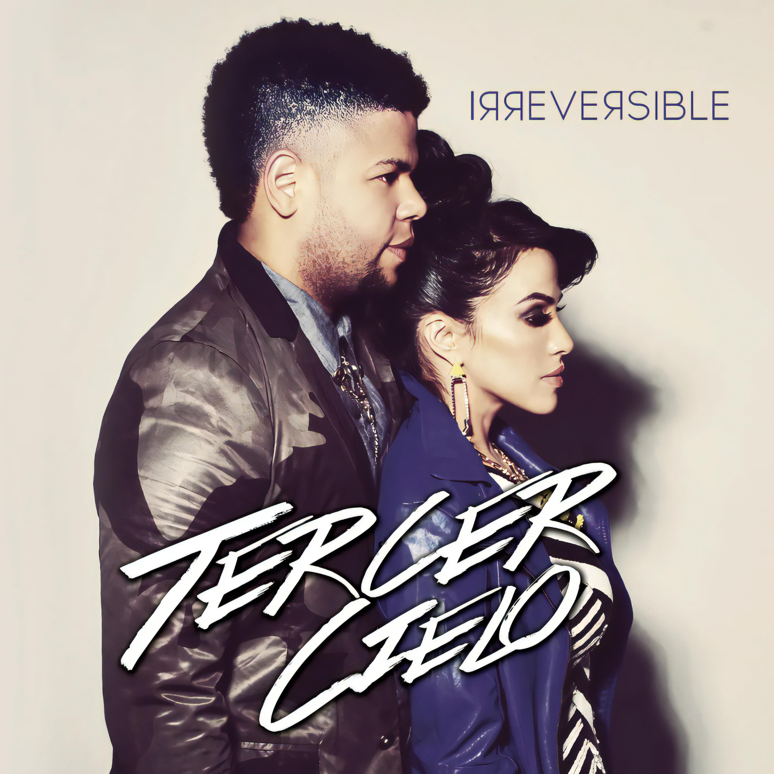 Релиз Irreversible