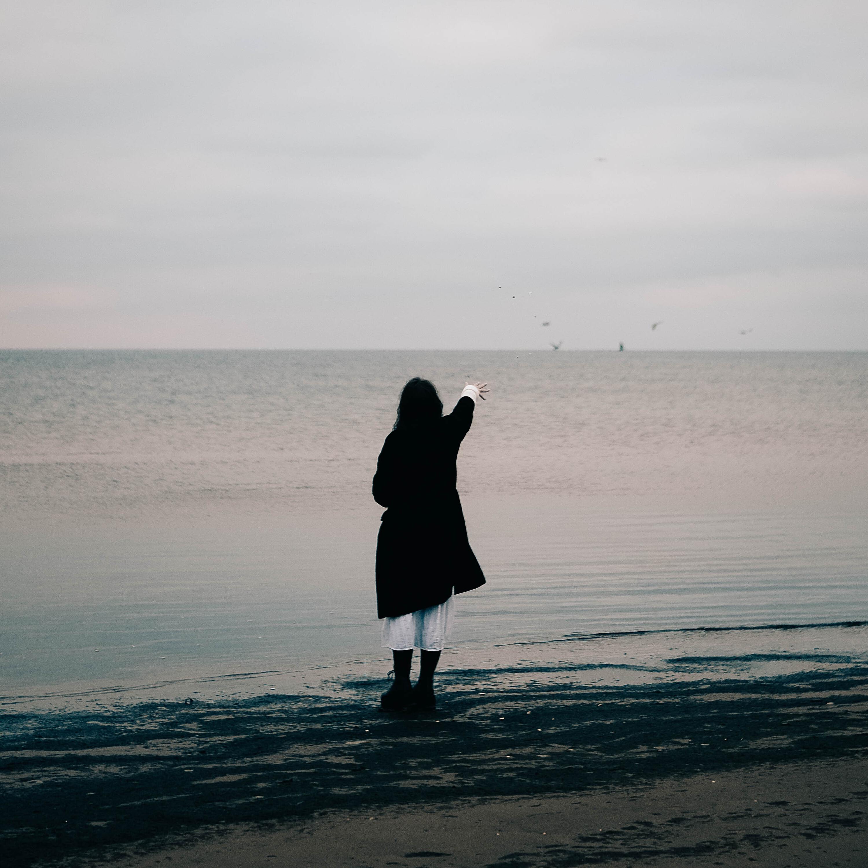 Релиз Baltic Sea