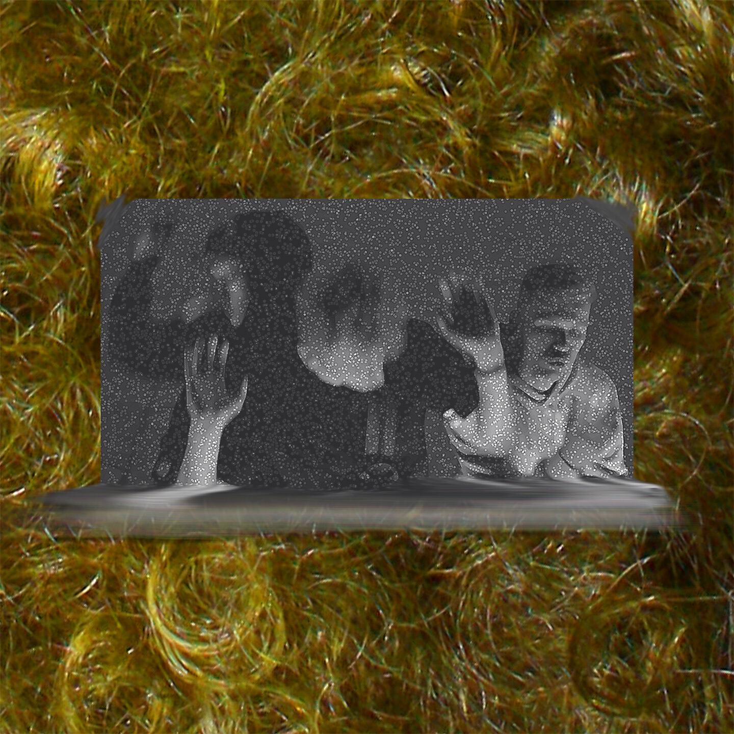 Релиз Bush