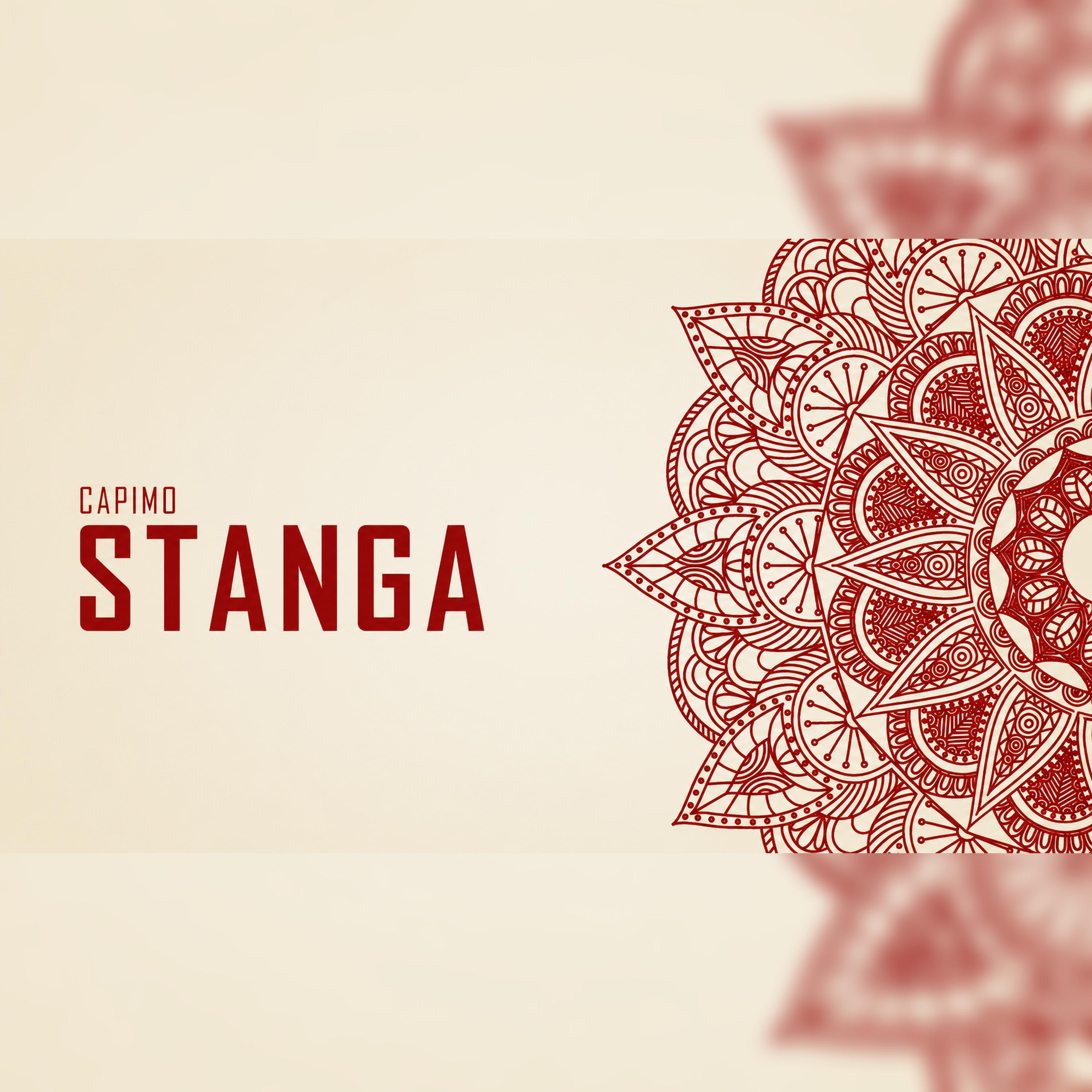 Релиз Stanga (Radio Edit)