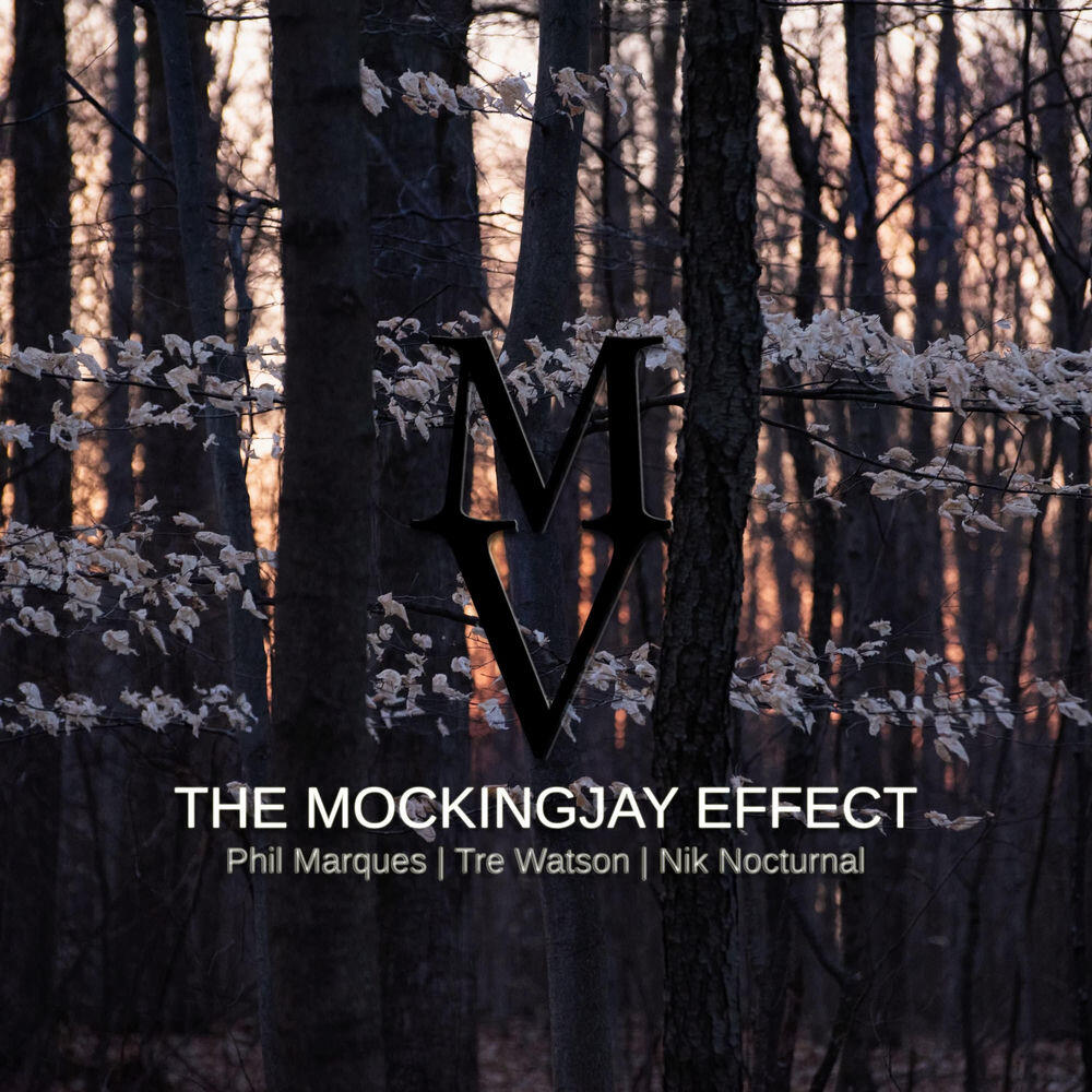Релиз The Mockingjay Effect