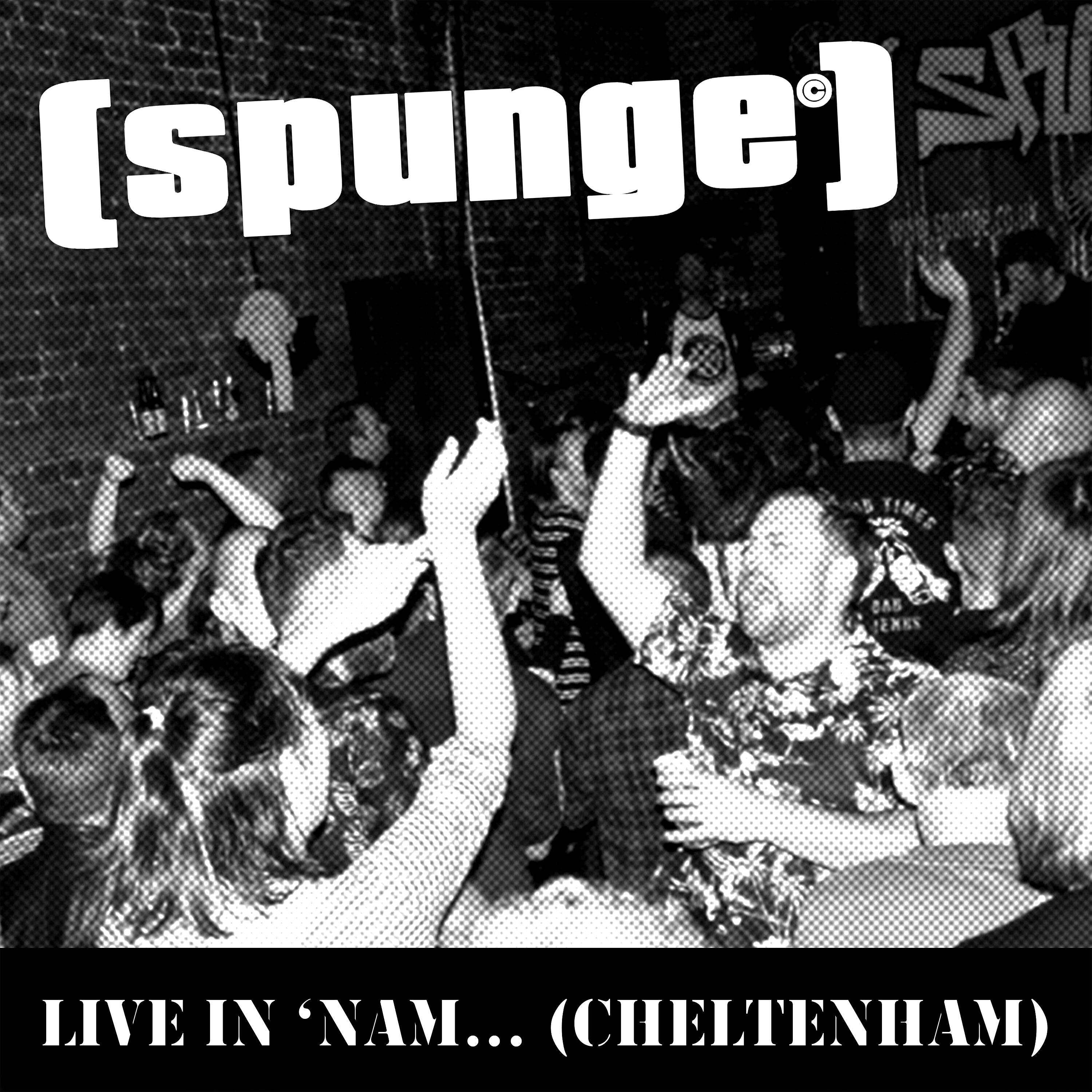 Релиз Live in 'nam... (Cheltenham)