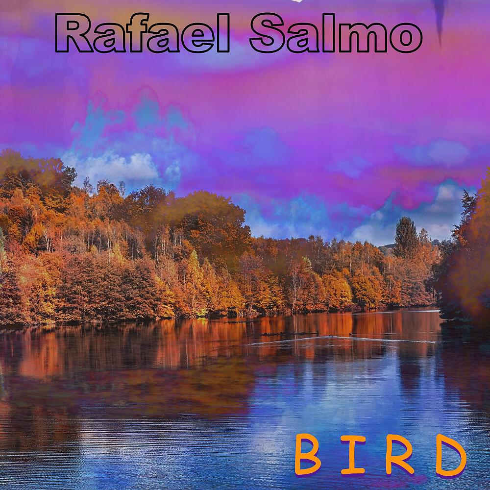 Релиз Bird