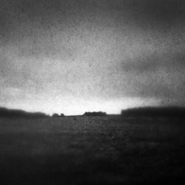 Релиз Fields
