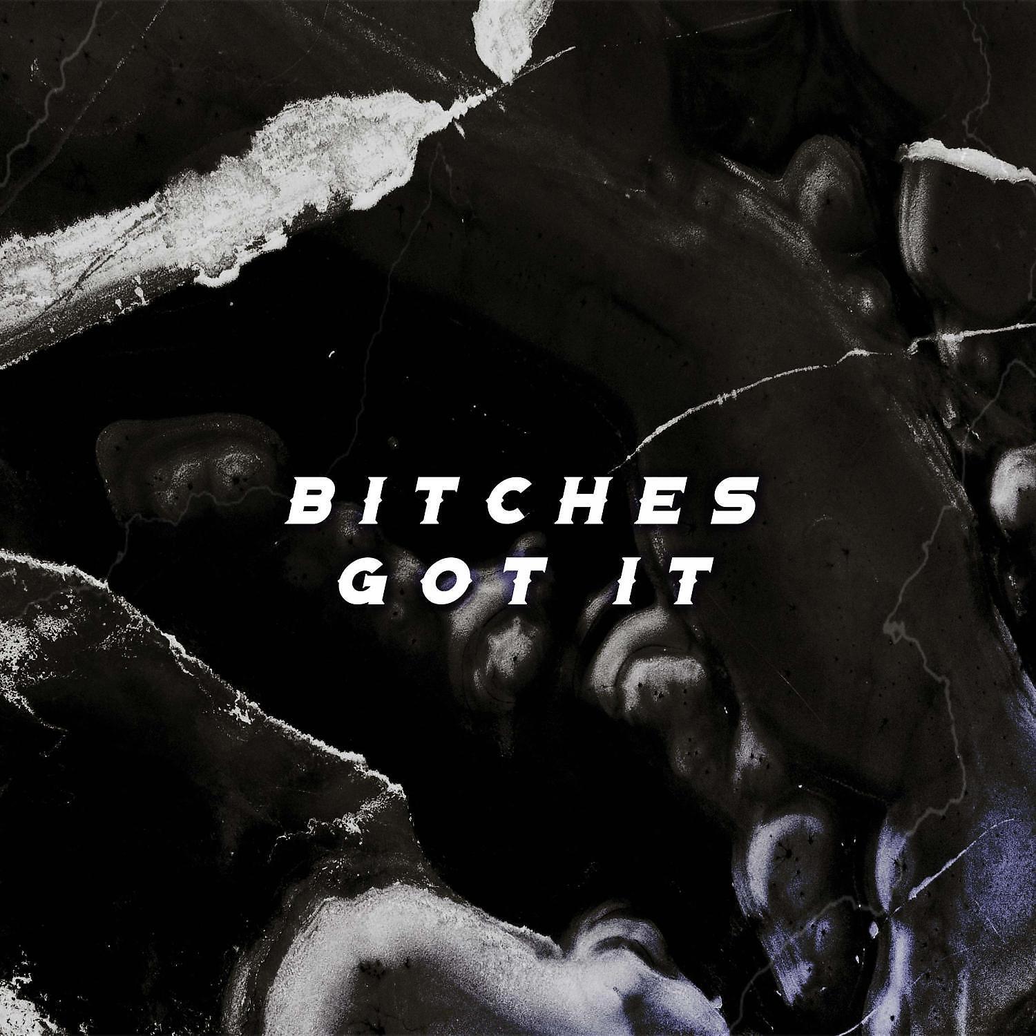 Релиз Bitches Got It