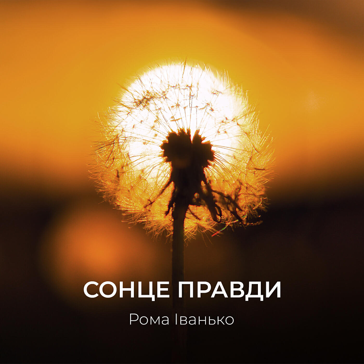 Релиз Сонце правди