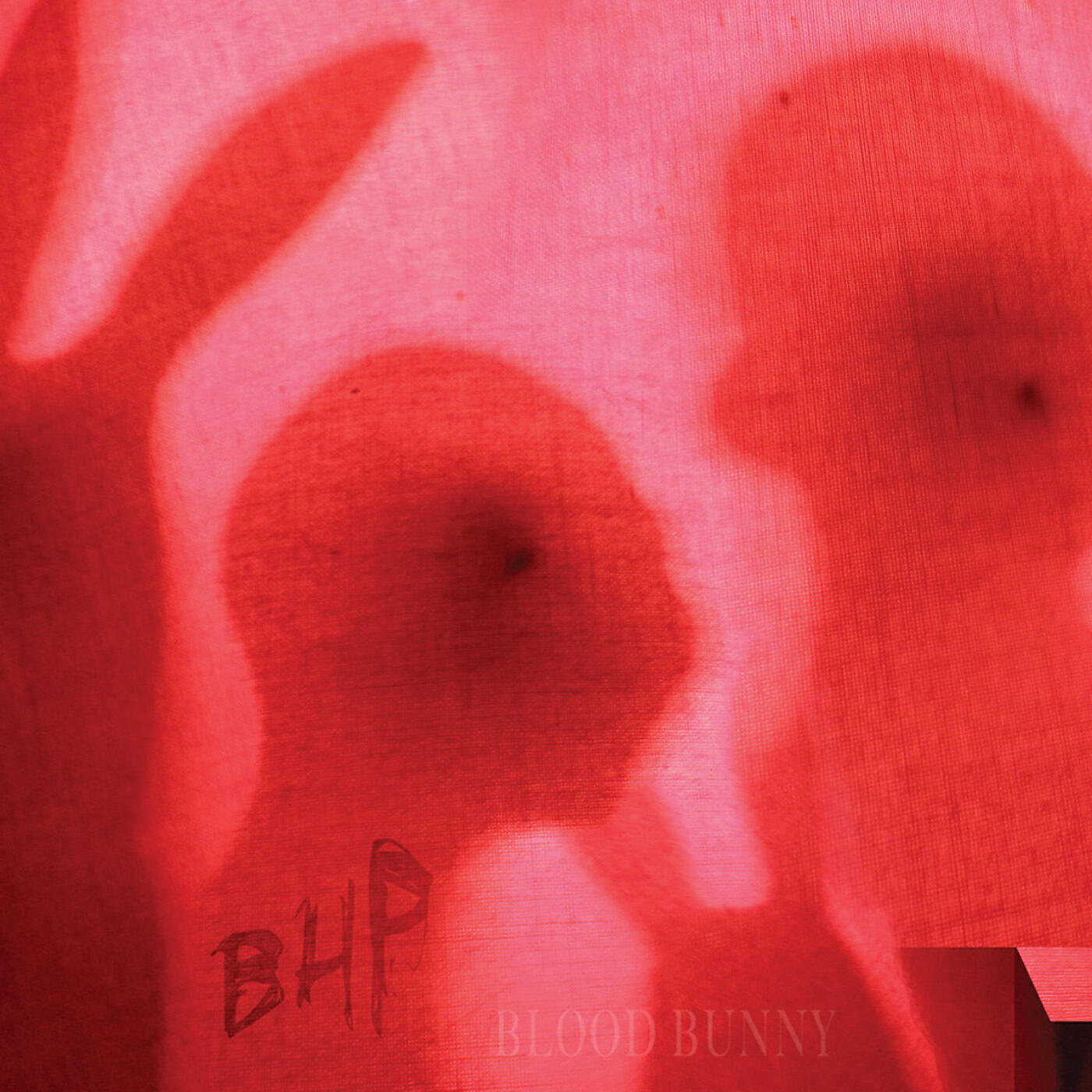 Релиз Blood Bunny / Black Rabbit