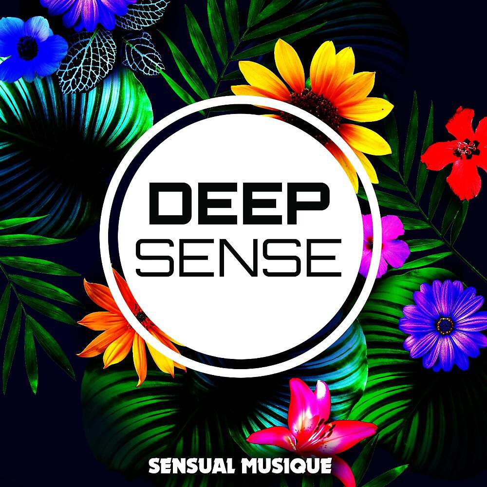 Релиз Sensual Musique