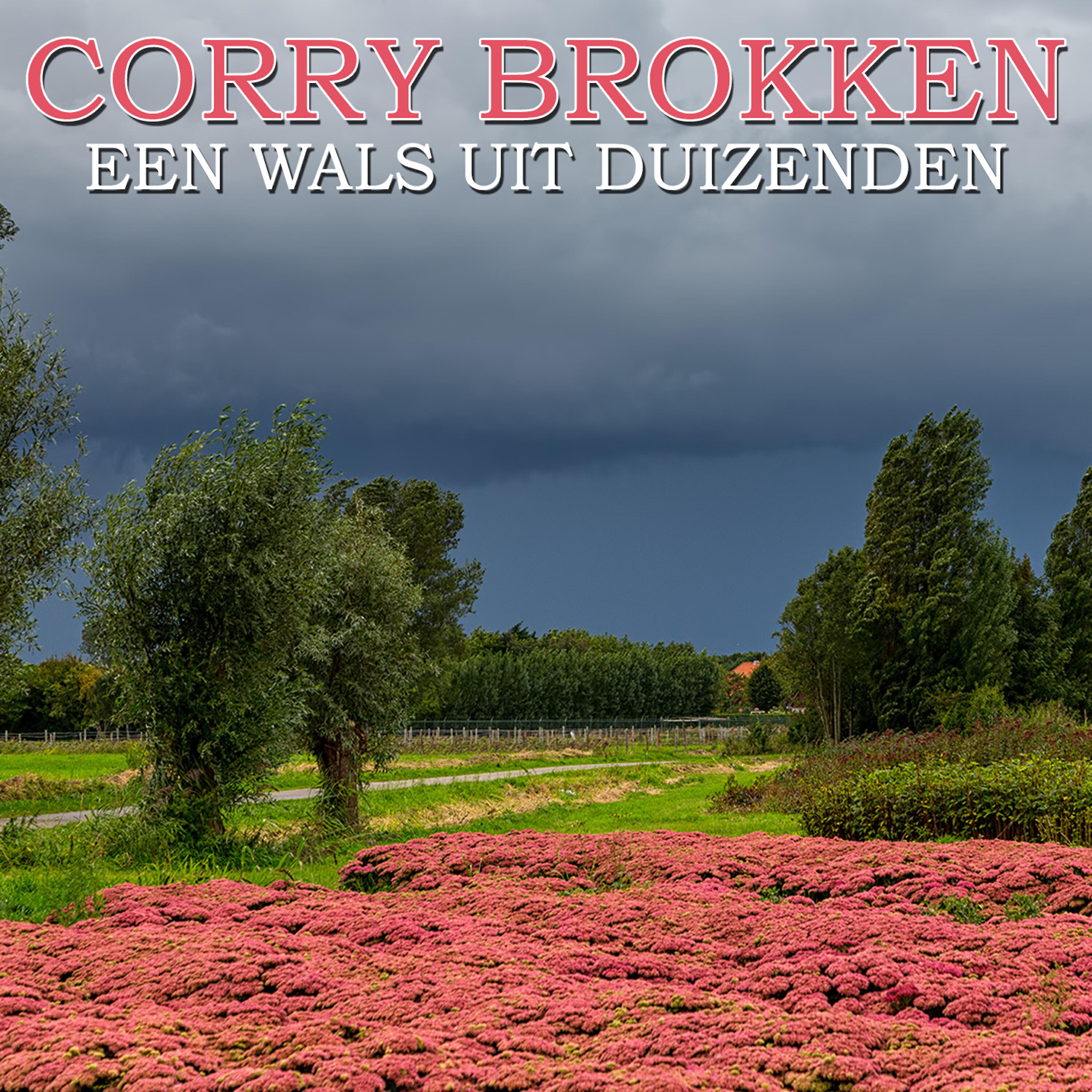 Релиз Een Wals Uit Duizenden
