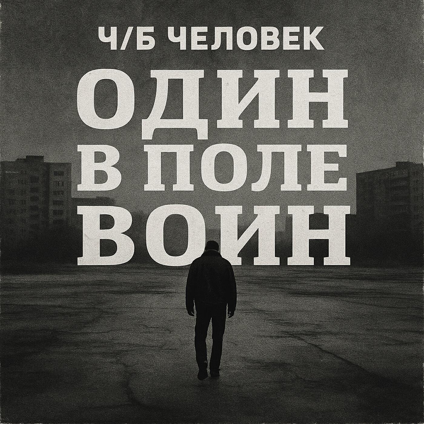 Постер альбома Один в поле воин