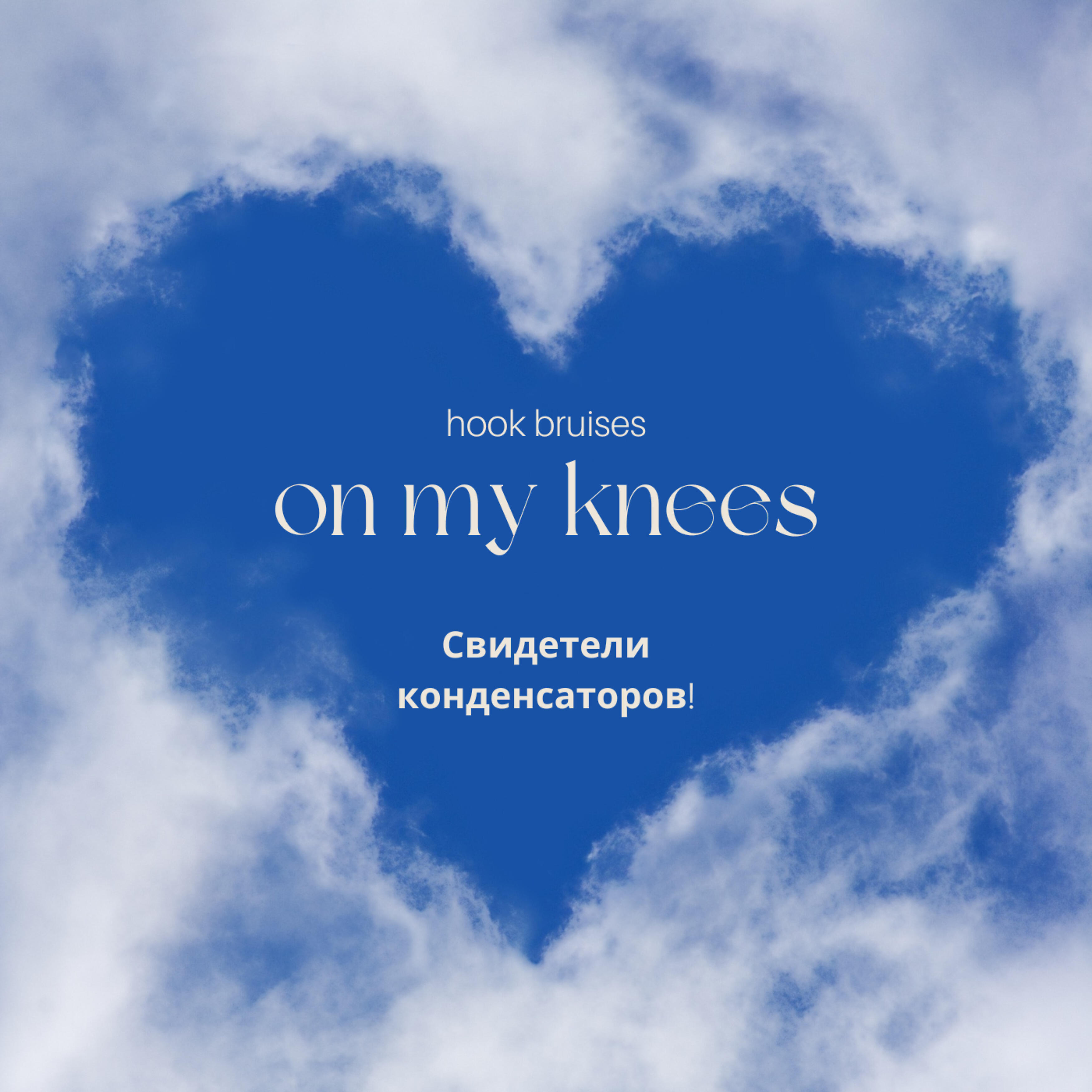 Постер альбома Hook Bruises on My Knees