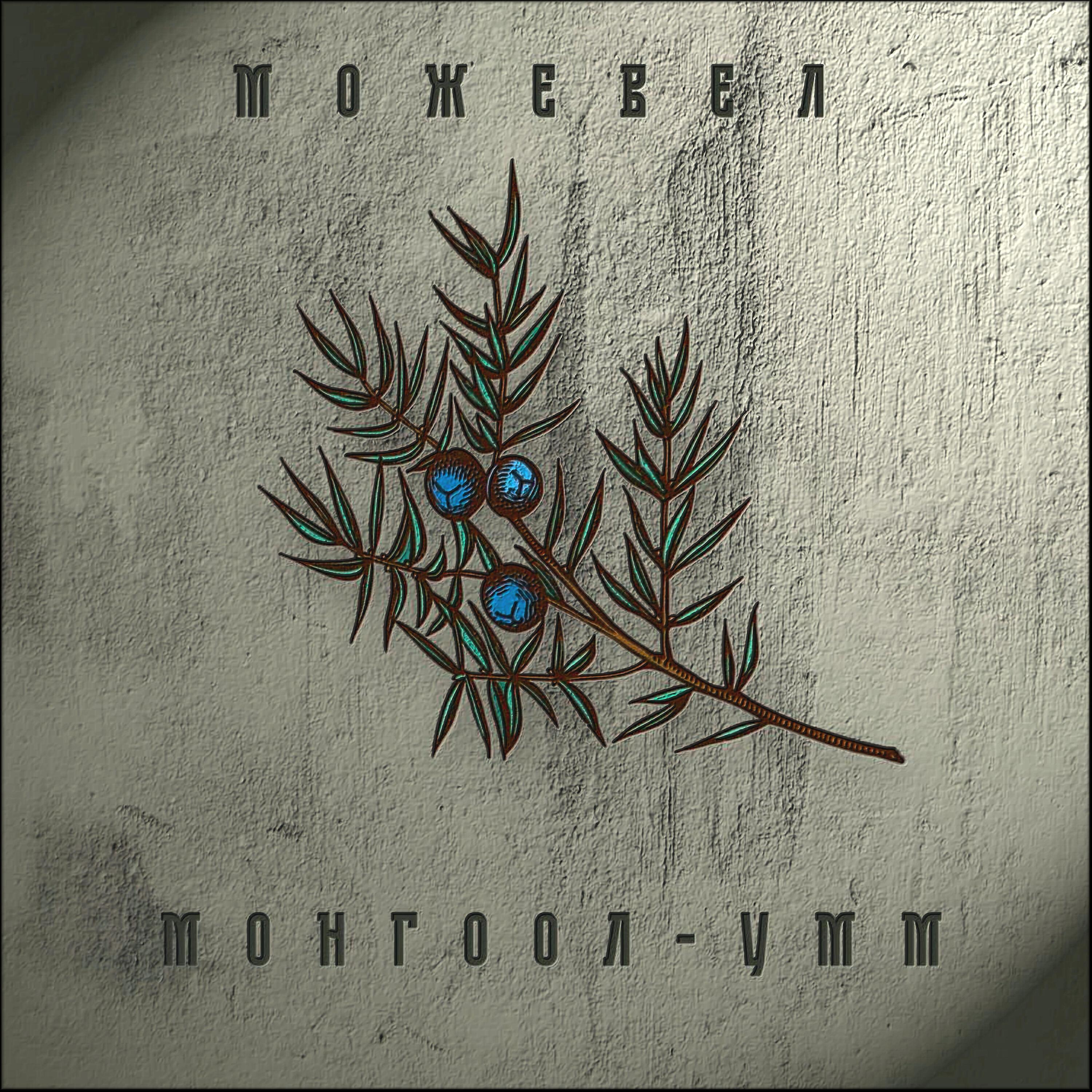 Можевел