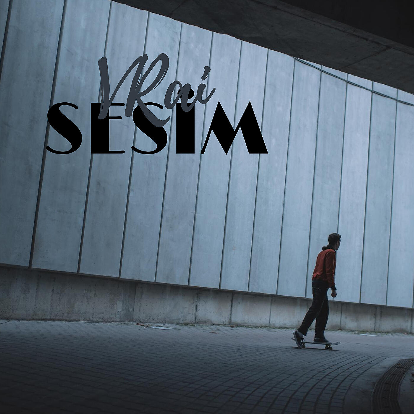 Релиз Sesim