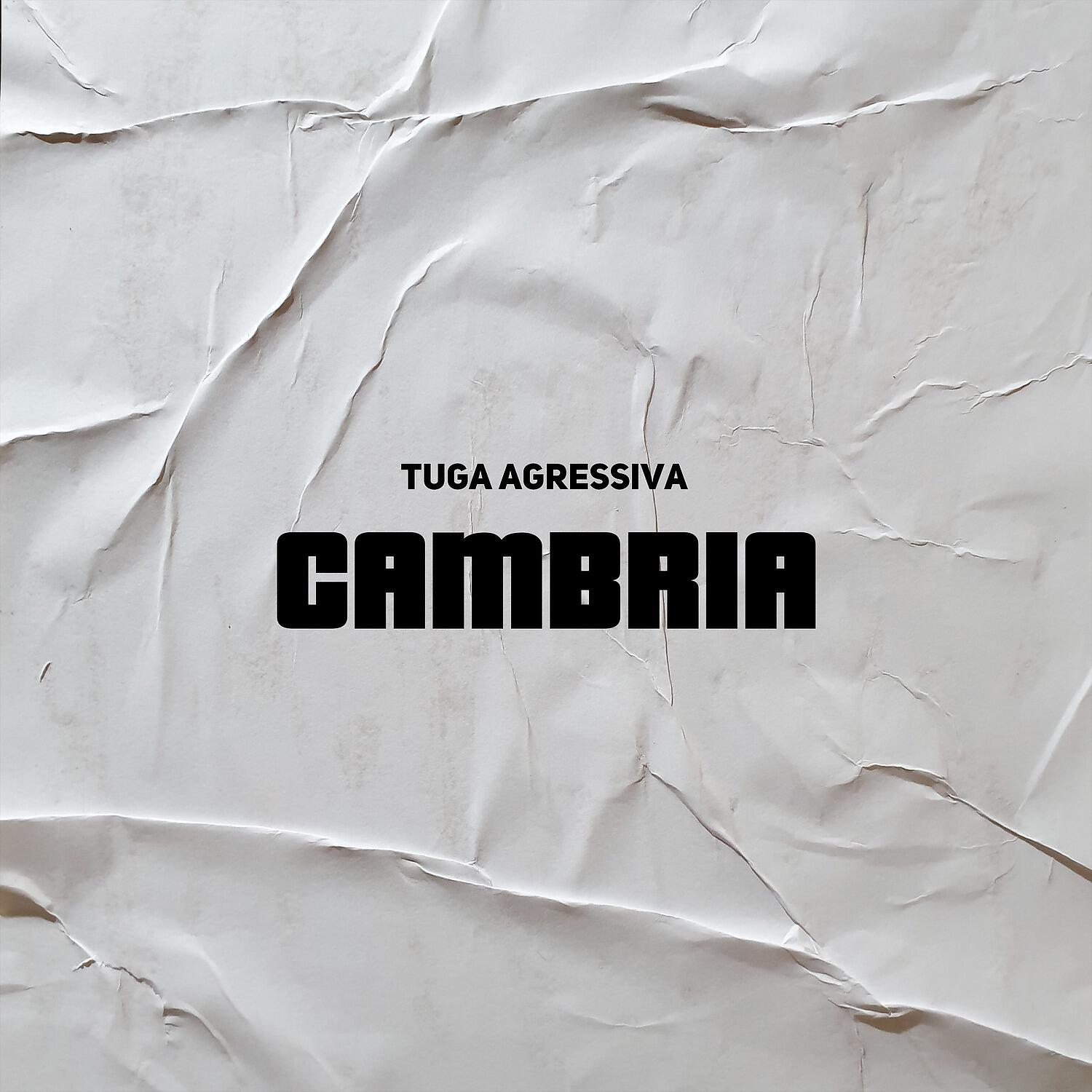 Релиз Cambria