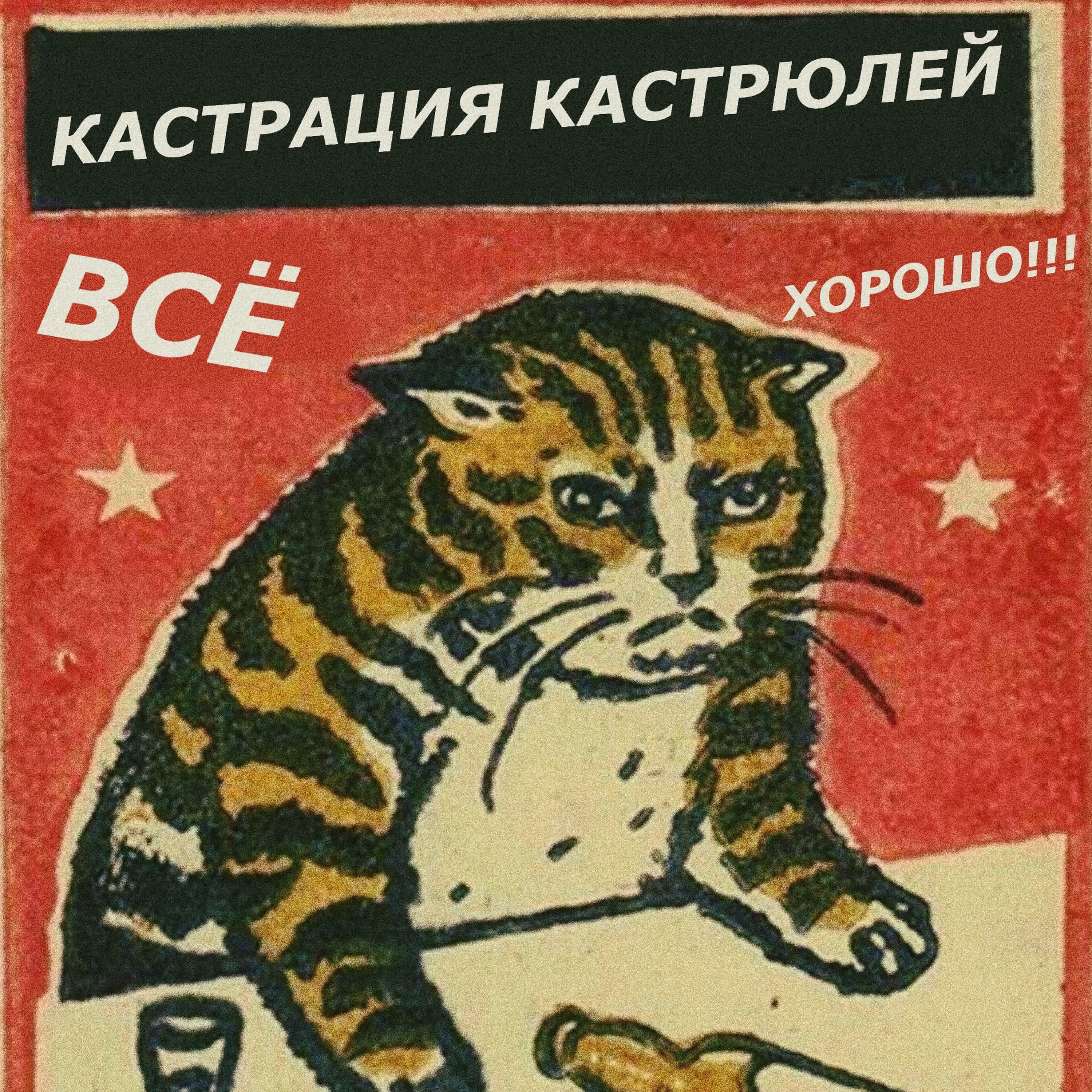 Кастрация Кастрюлей