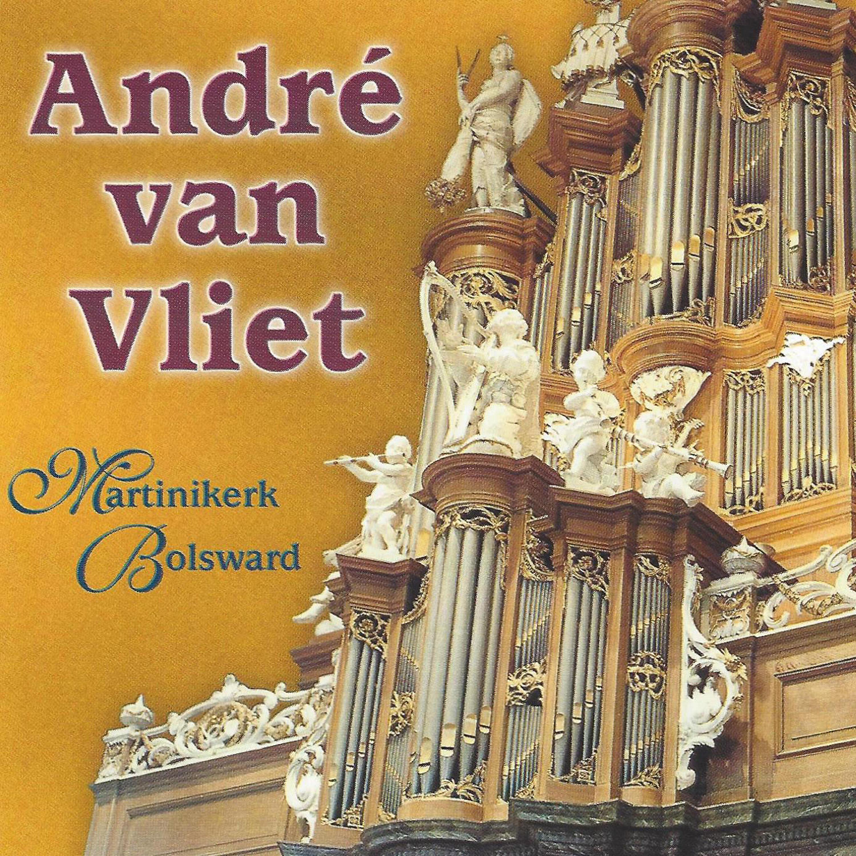 Релиз Martinikerk, Bolswaard