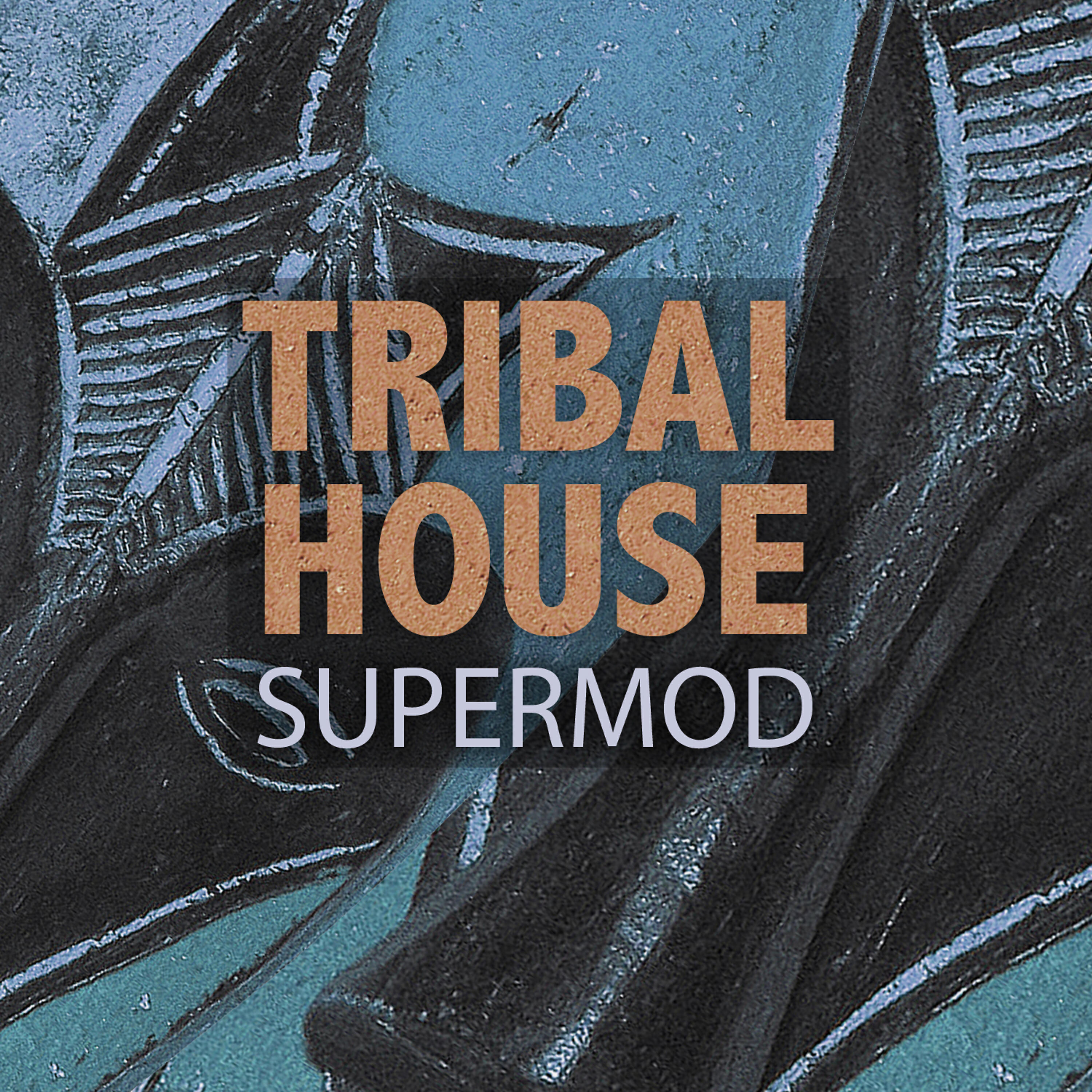 Релиз Supermod