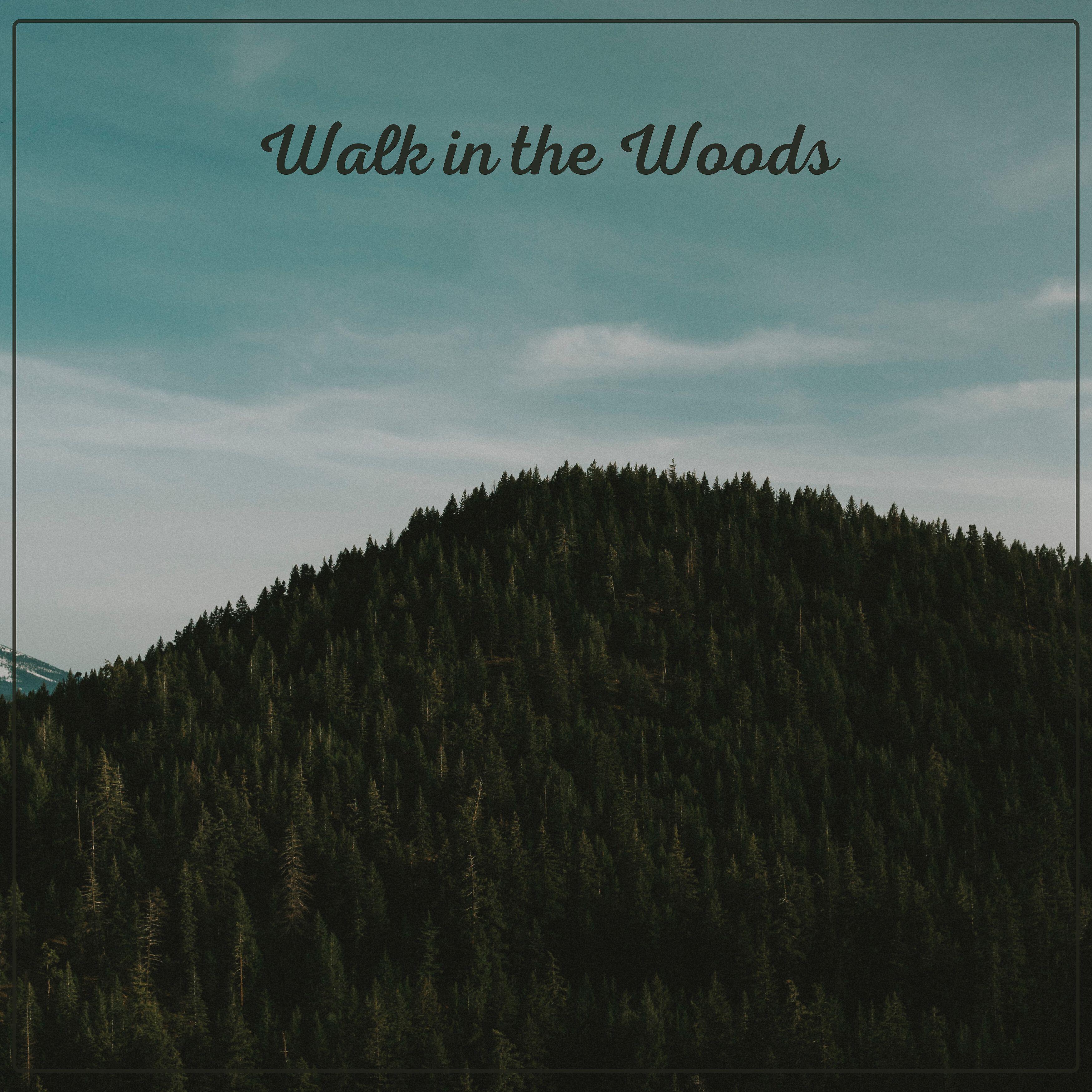 Релиз Walk in the Woods