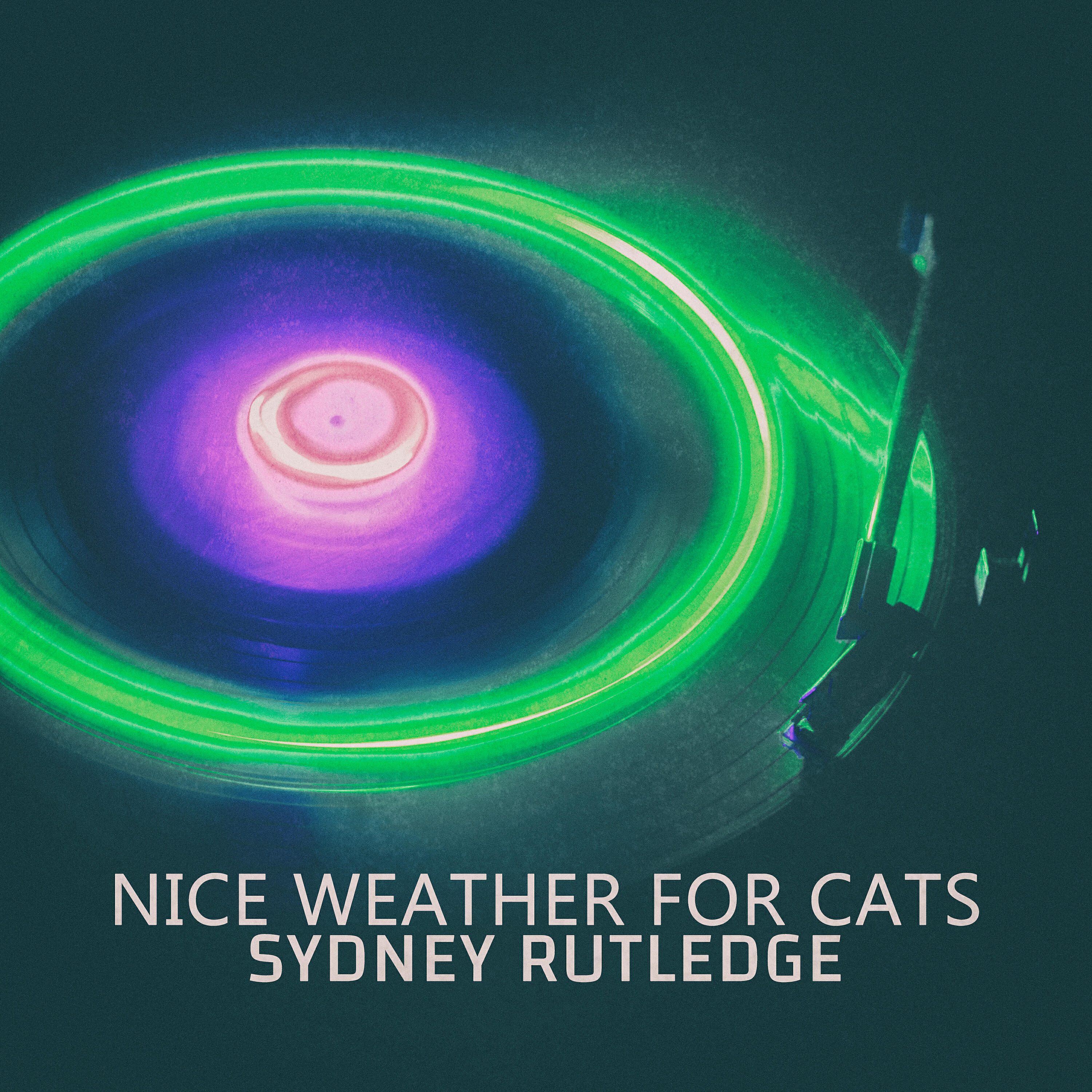 Релиз Nice Weather for Cats - EP