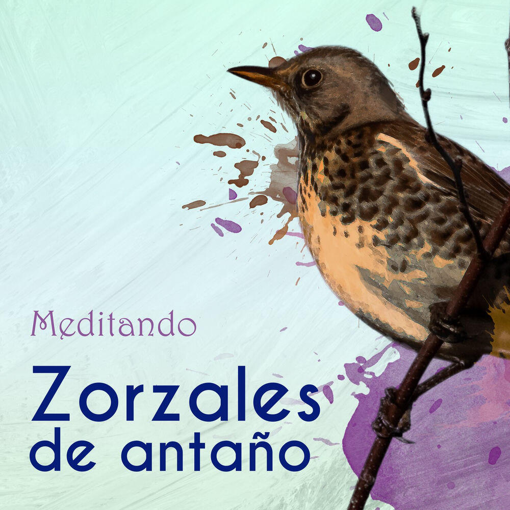 Релиз Zorzales de Antaño… Meditando