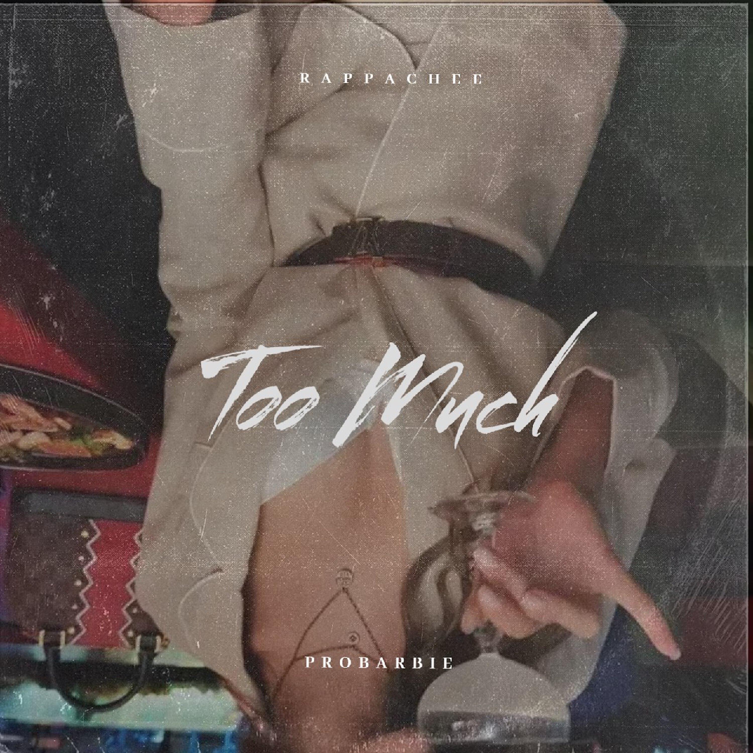 Релиз Too Much