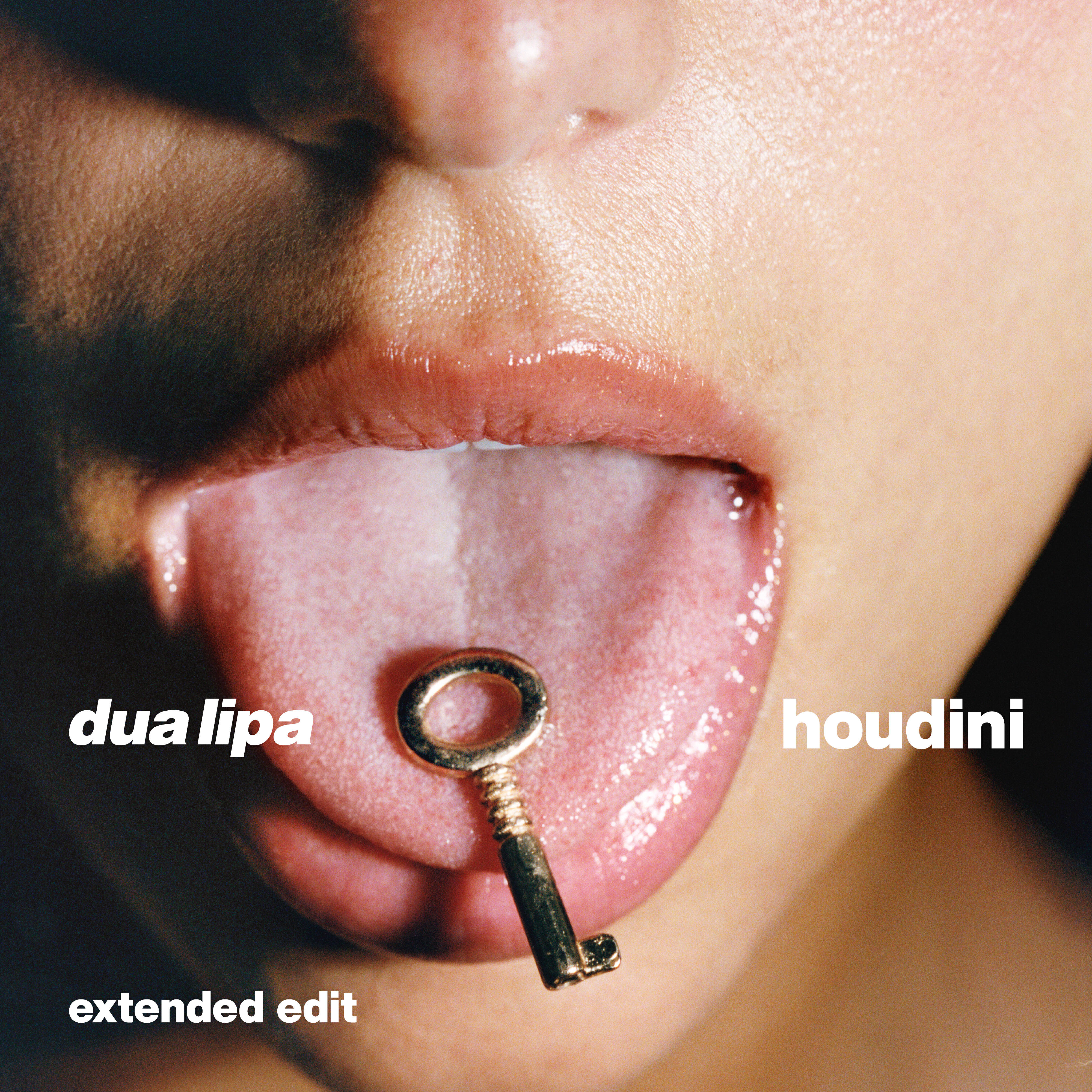 Релиз Houdini (Extended)