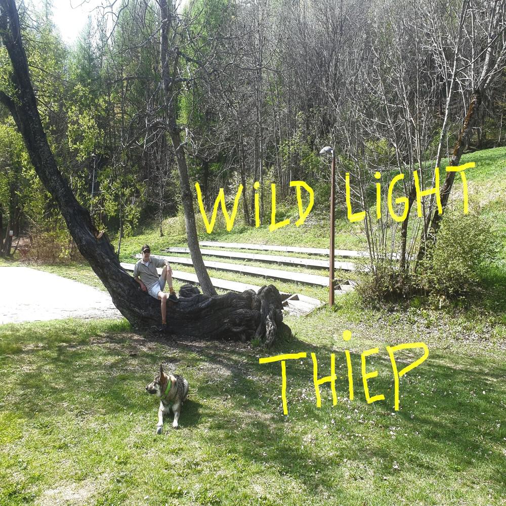 Релиз Wild Light