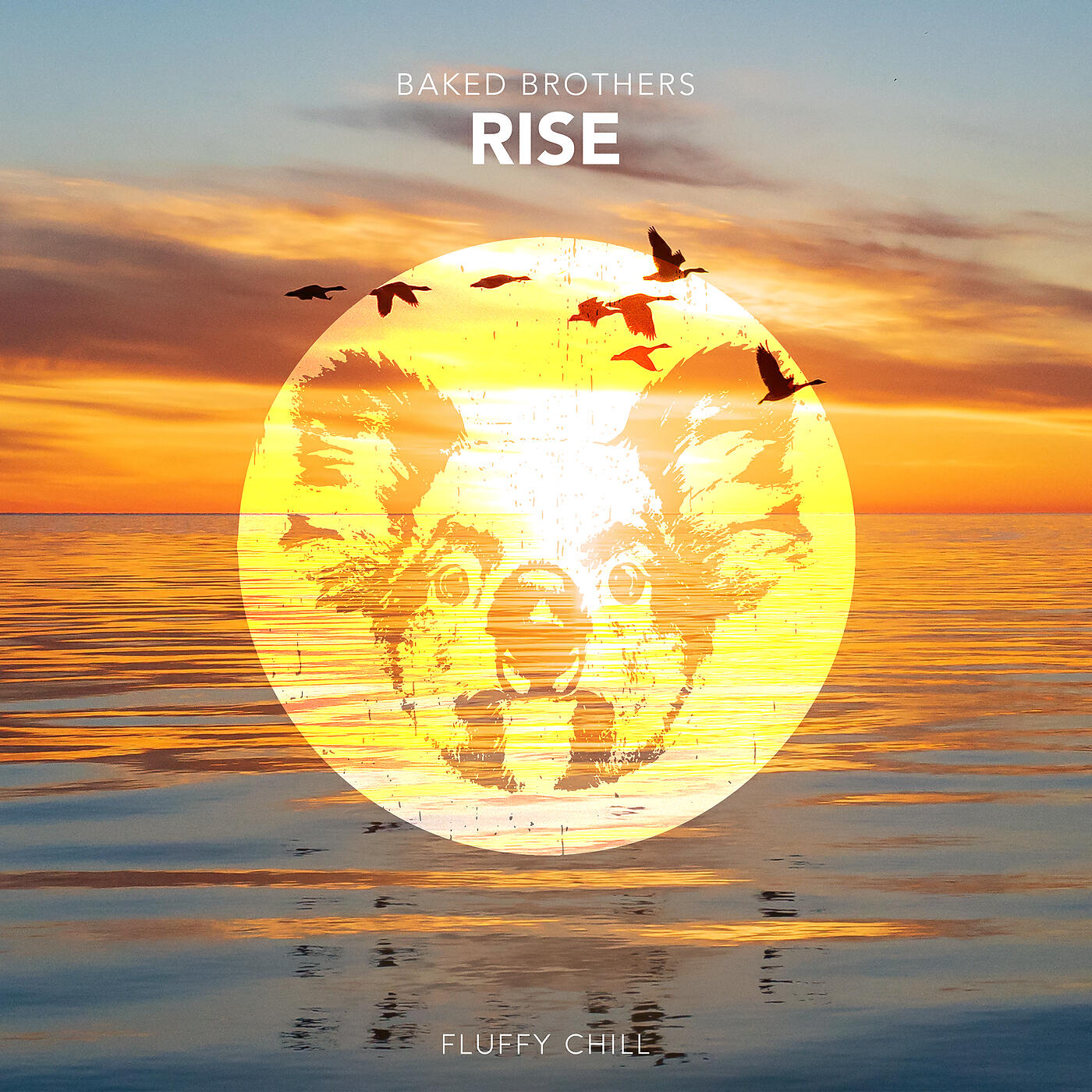 Релиз Rise
