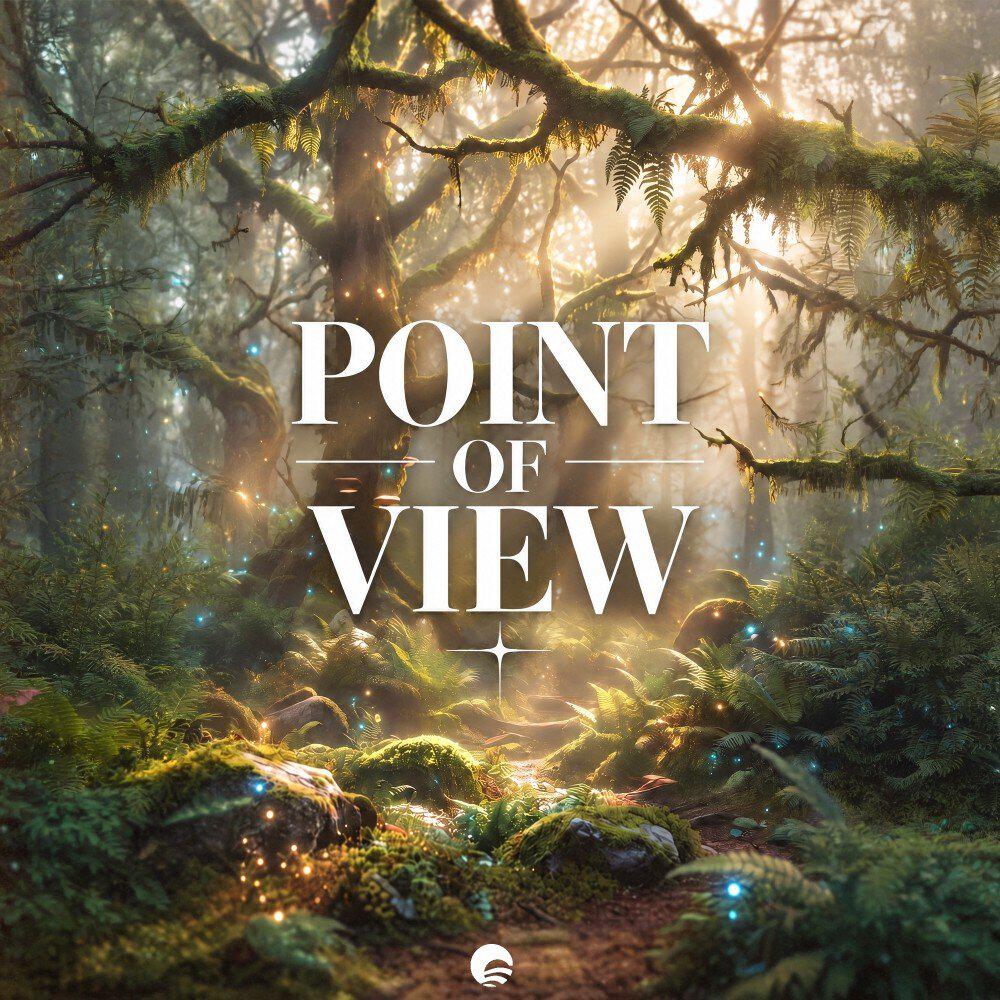 Релиз Point of View