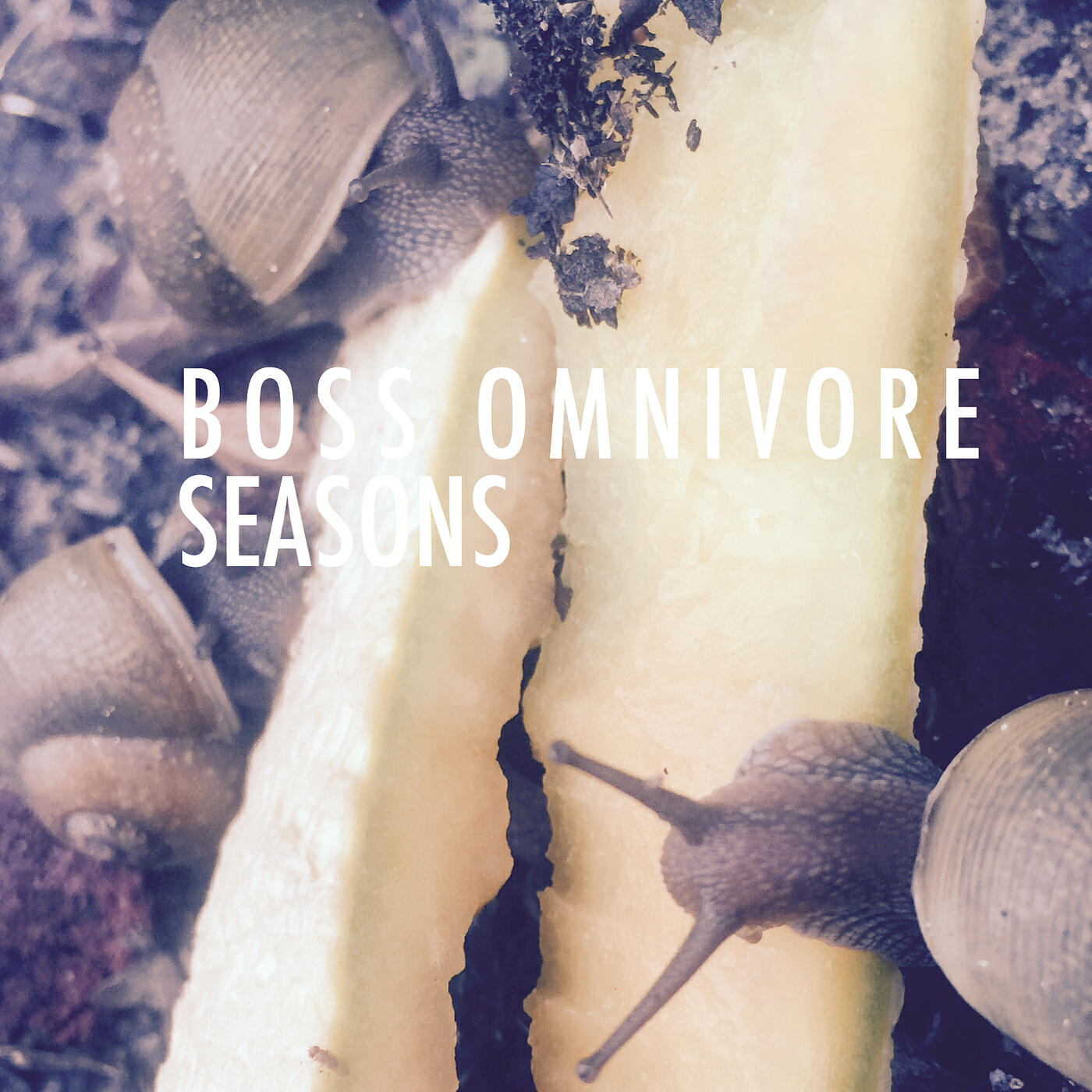 Boss Omnivore
