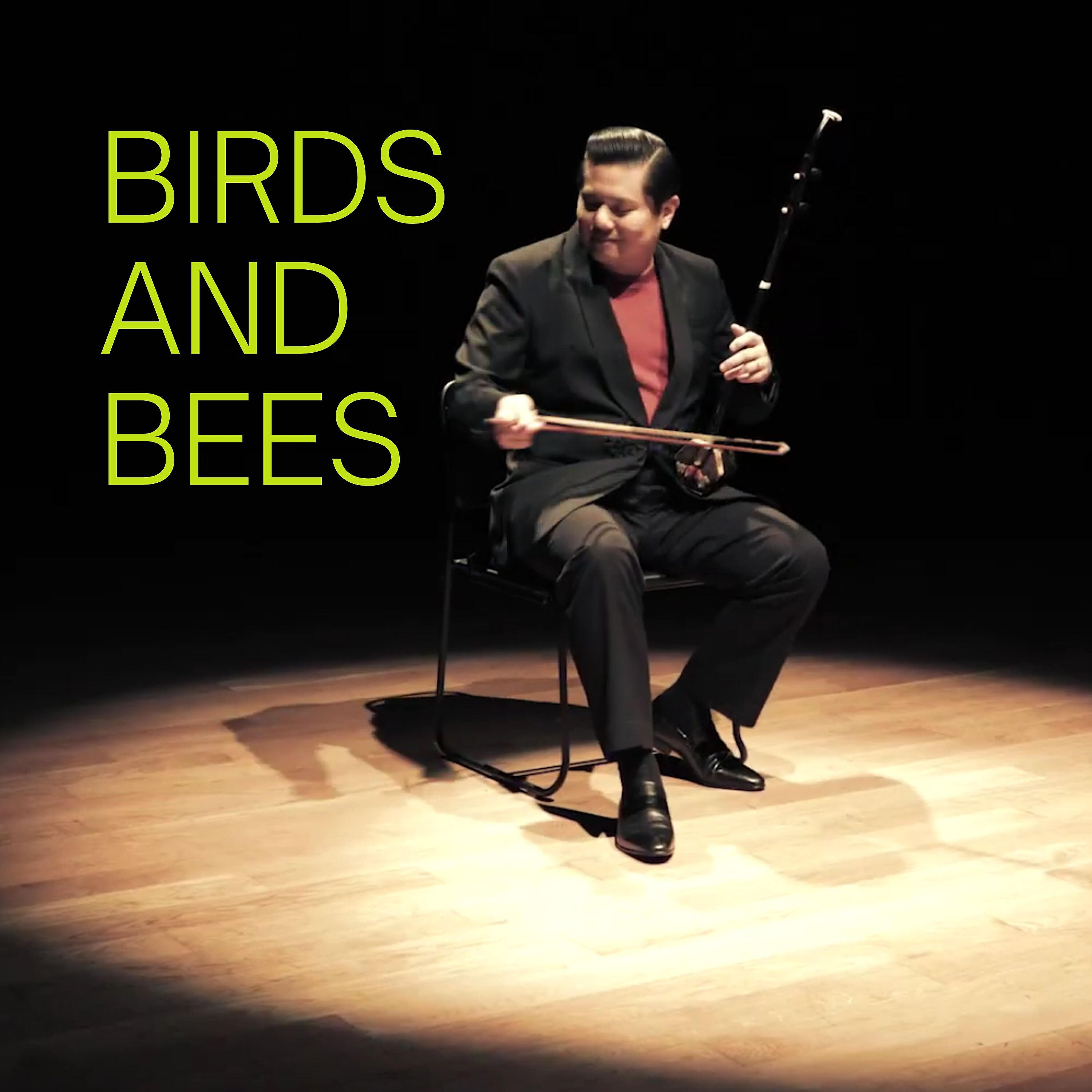 Релиз Birds and Bees