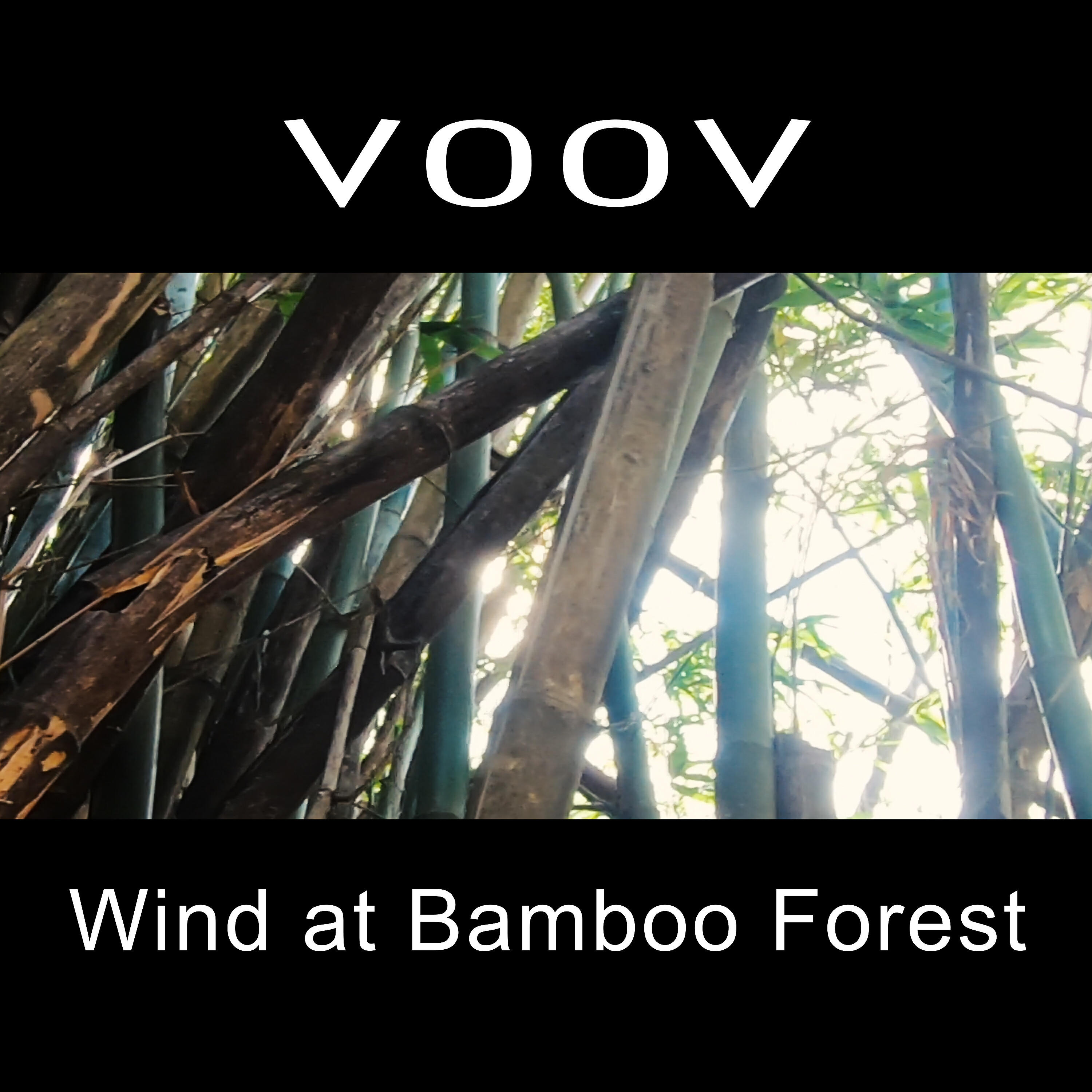Релиз Wind at Bamboo Forest