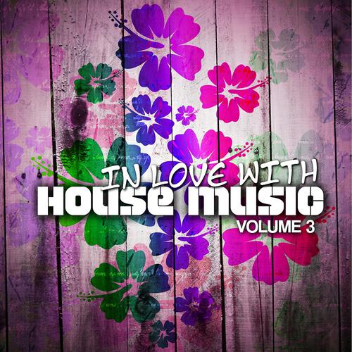 Релиз In Love With House Music, Vol. 3