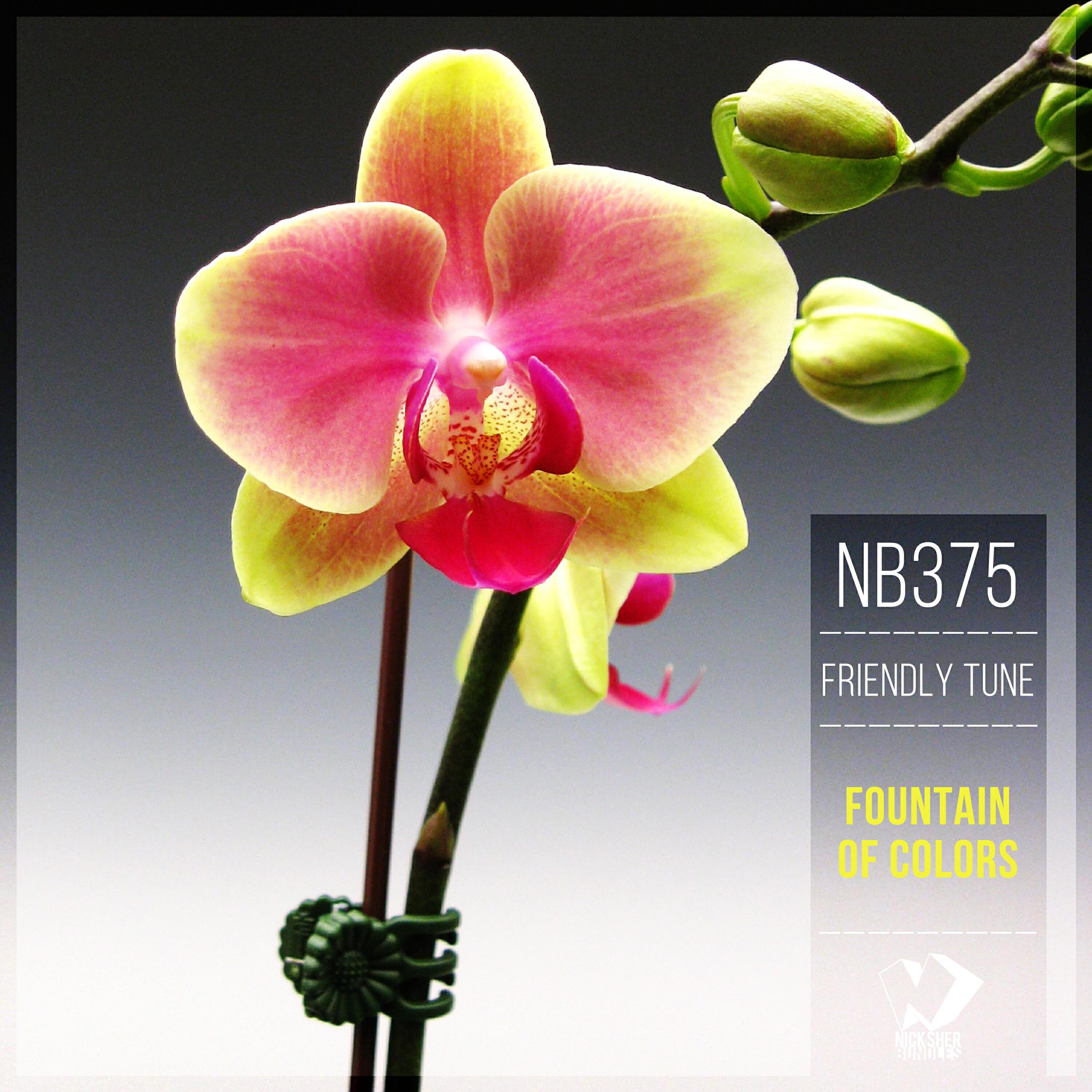 Friendly Tune