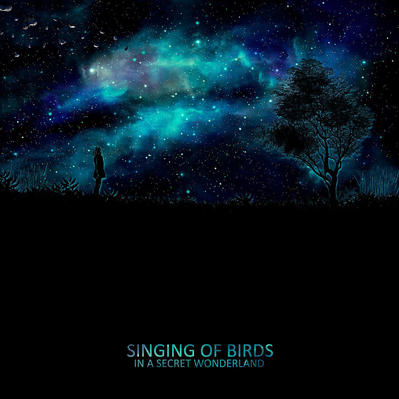Релиз Singing of Birds in a Secret Wonderland (Meditation, Relaxation, Deep Thoughts, Time for Yourself)