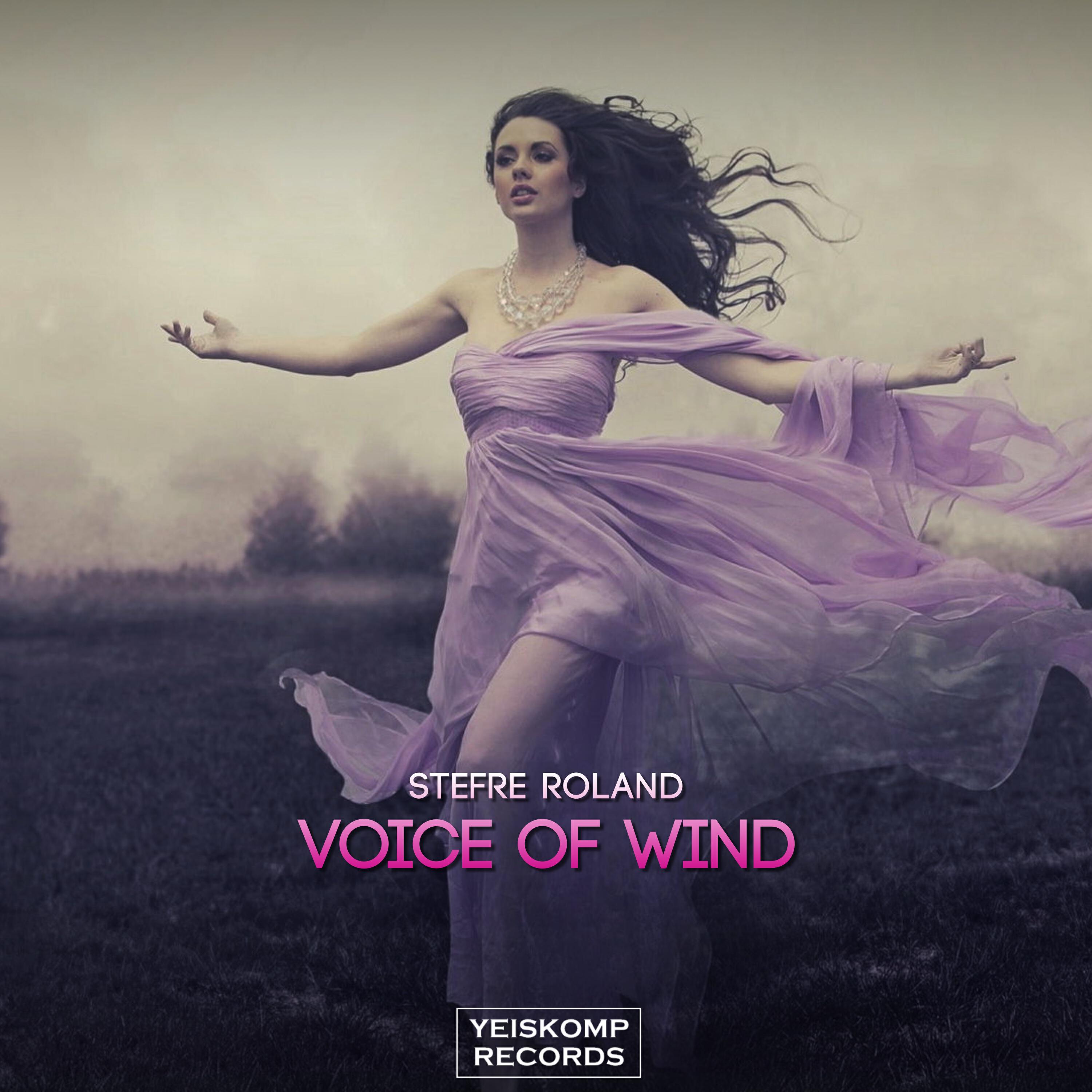 Постер альбома Voice Of Wind
