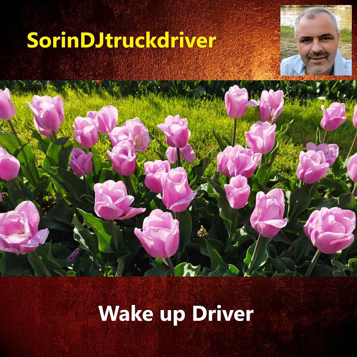 Релиз Wake up Driver