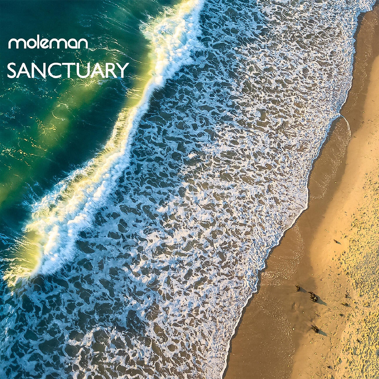 Релиз Sanctuary