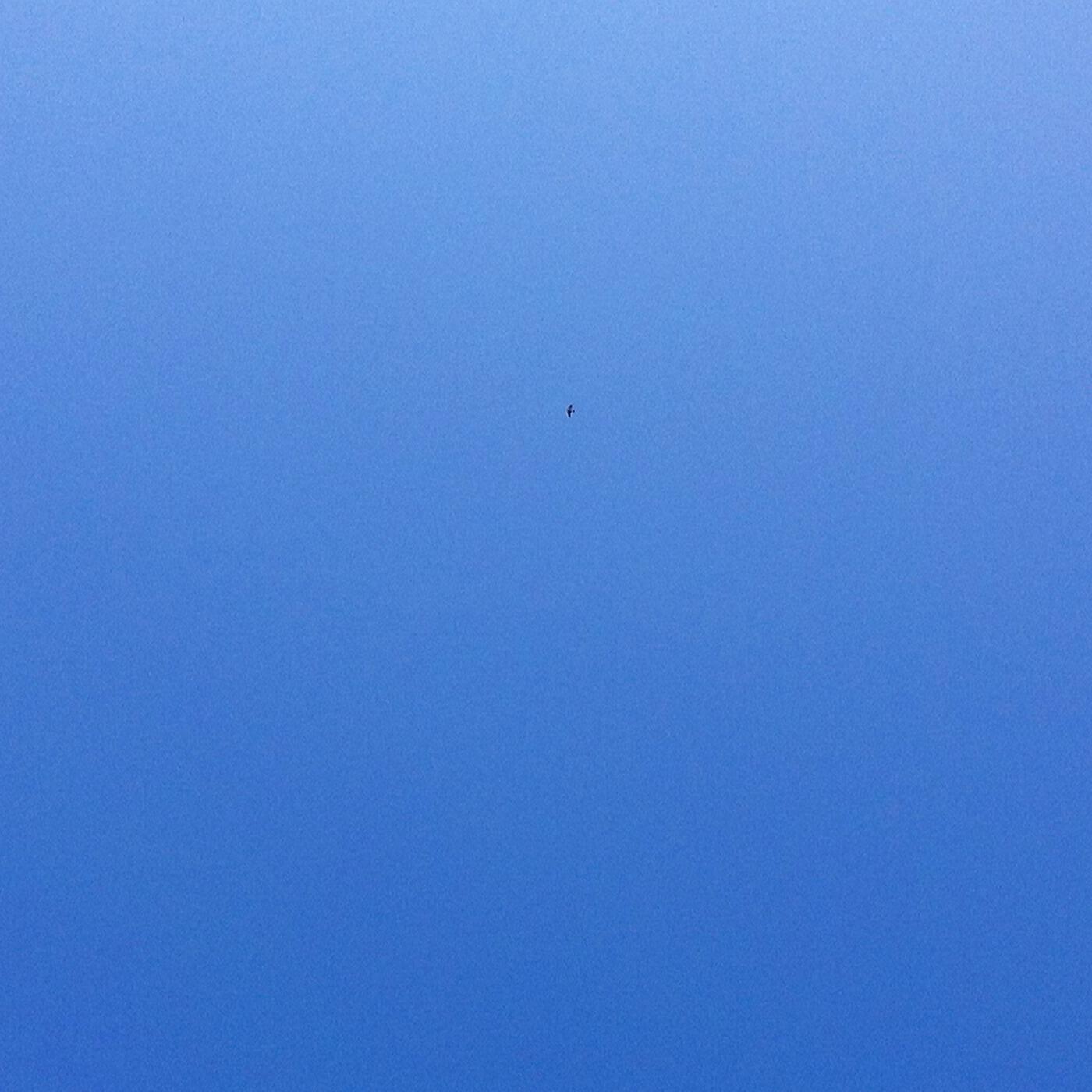 Релиз Blu Skies