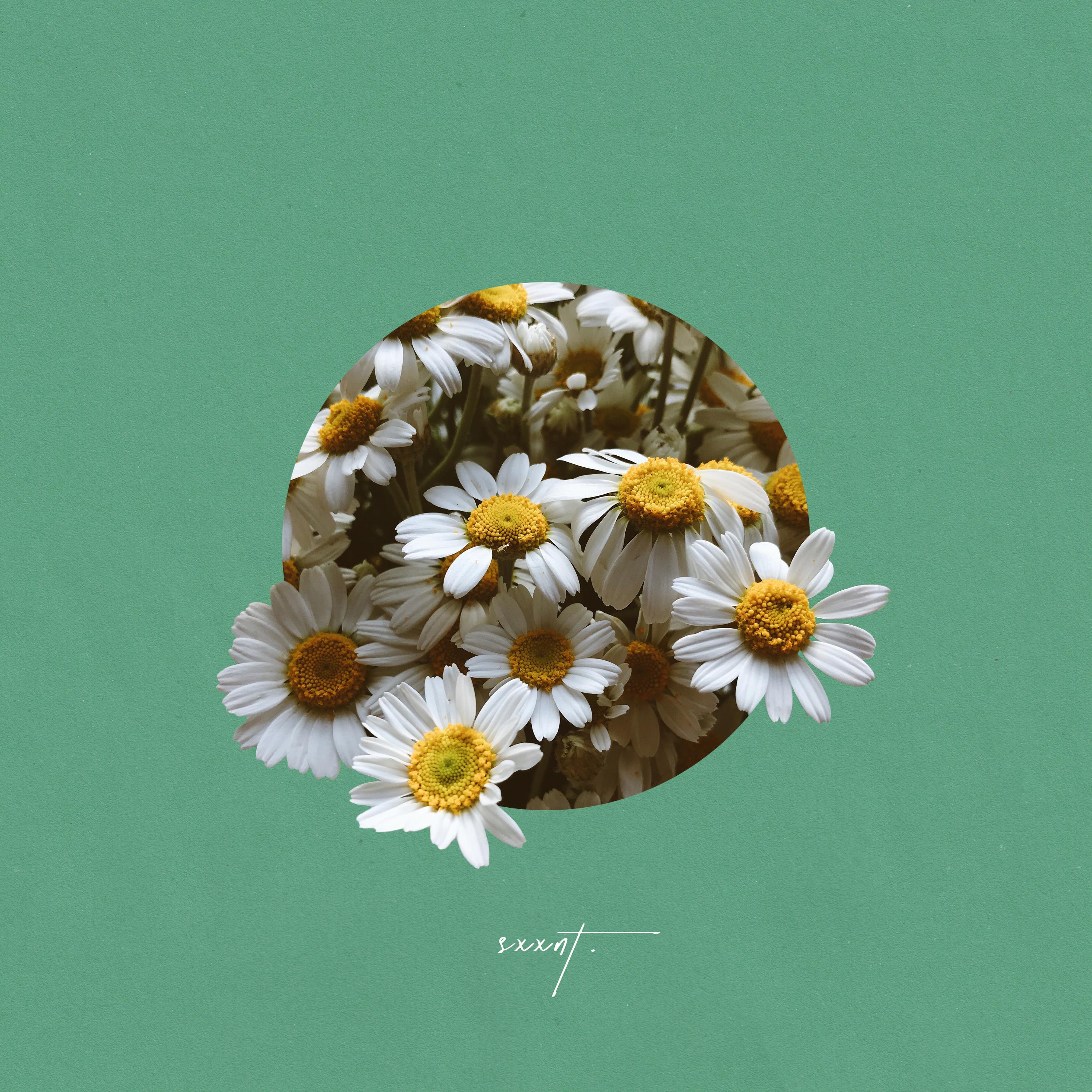 Релиз Holy Spirit