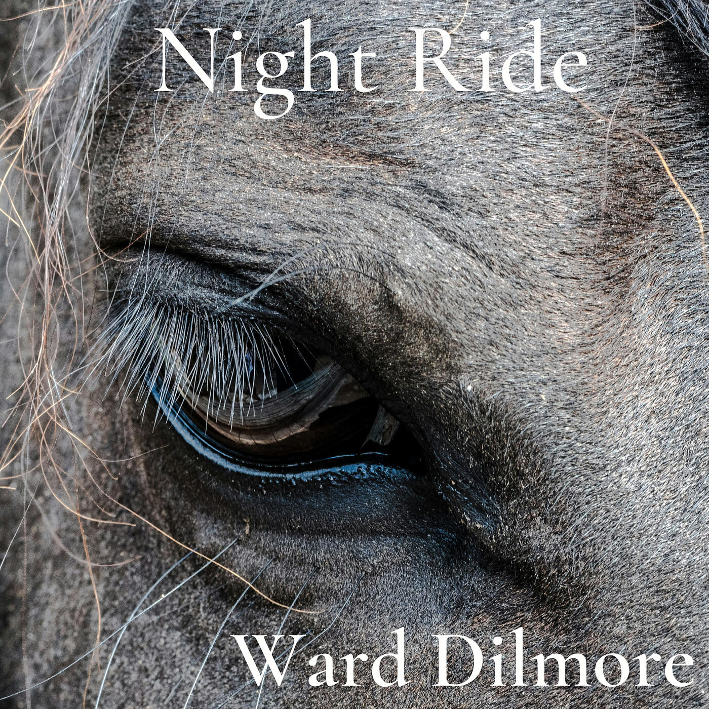 Релиз Night Ride