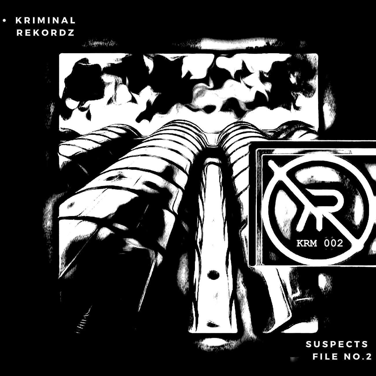 Релиз Suspects, File No.2